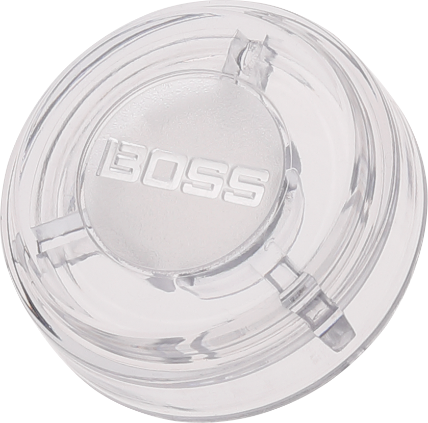 BOSS FSC-10