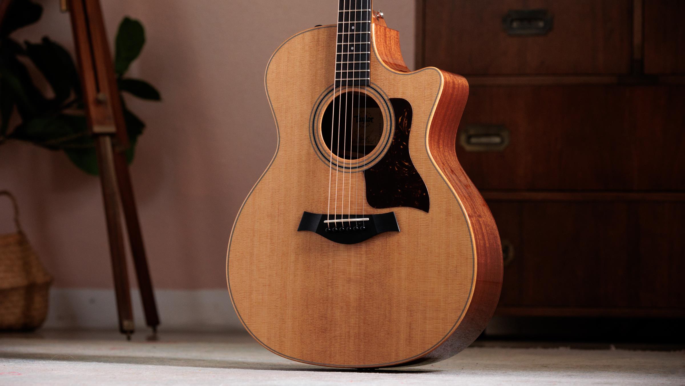 TAYLOR 314ce Studio