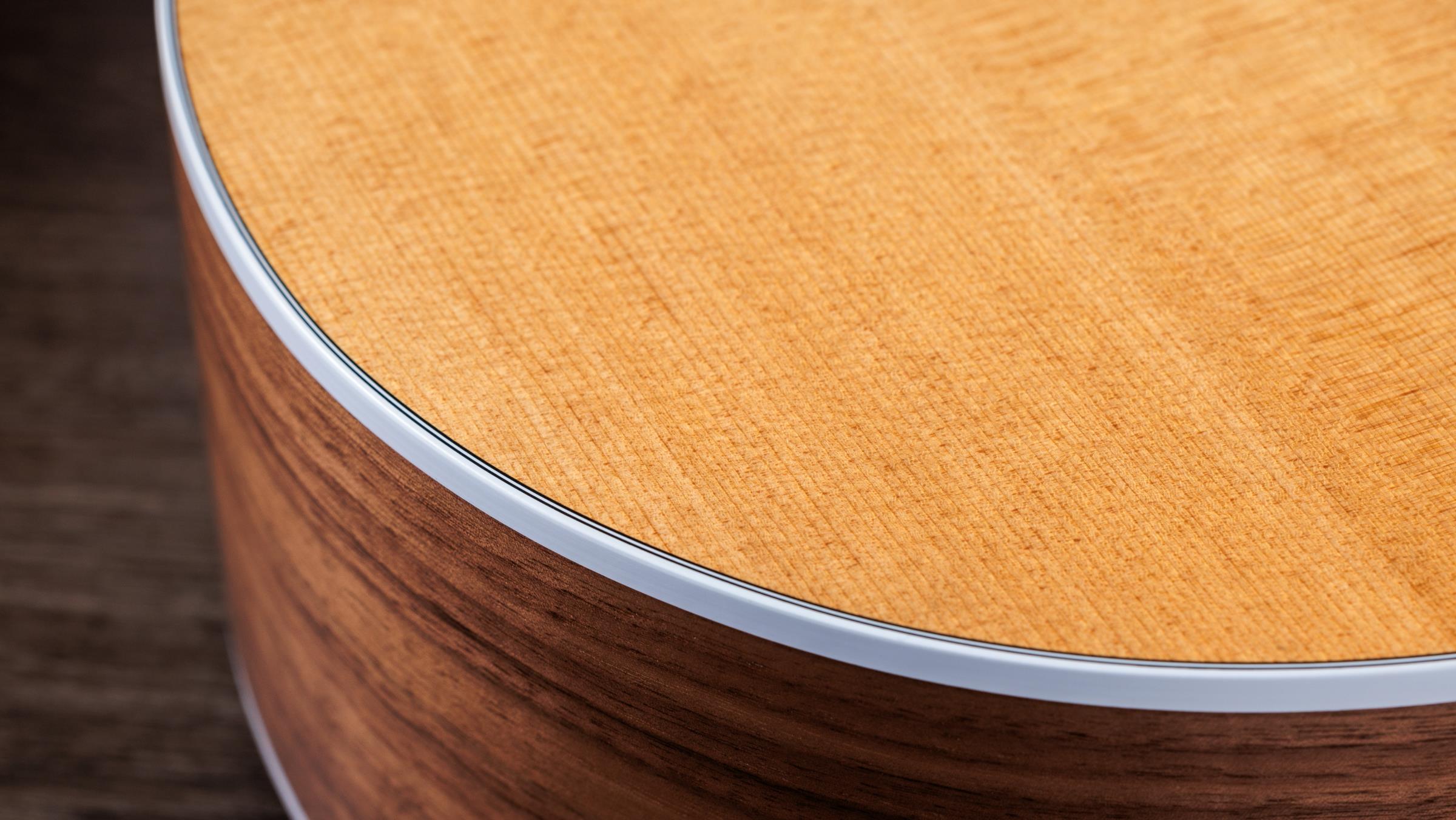TAYLOR 214ce-N TAYLOR 214ce-N