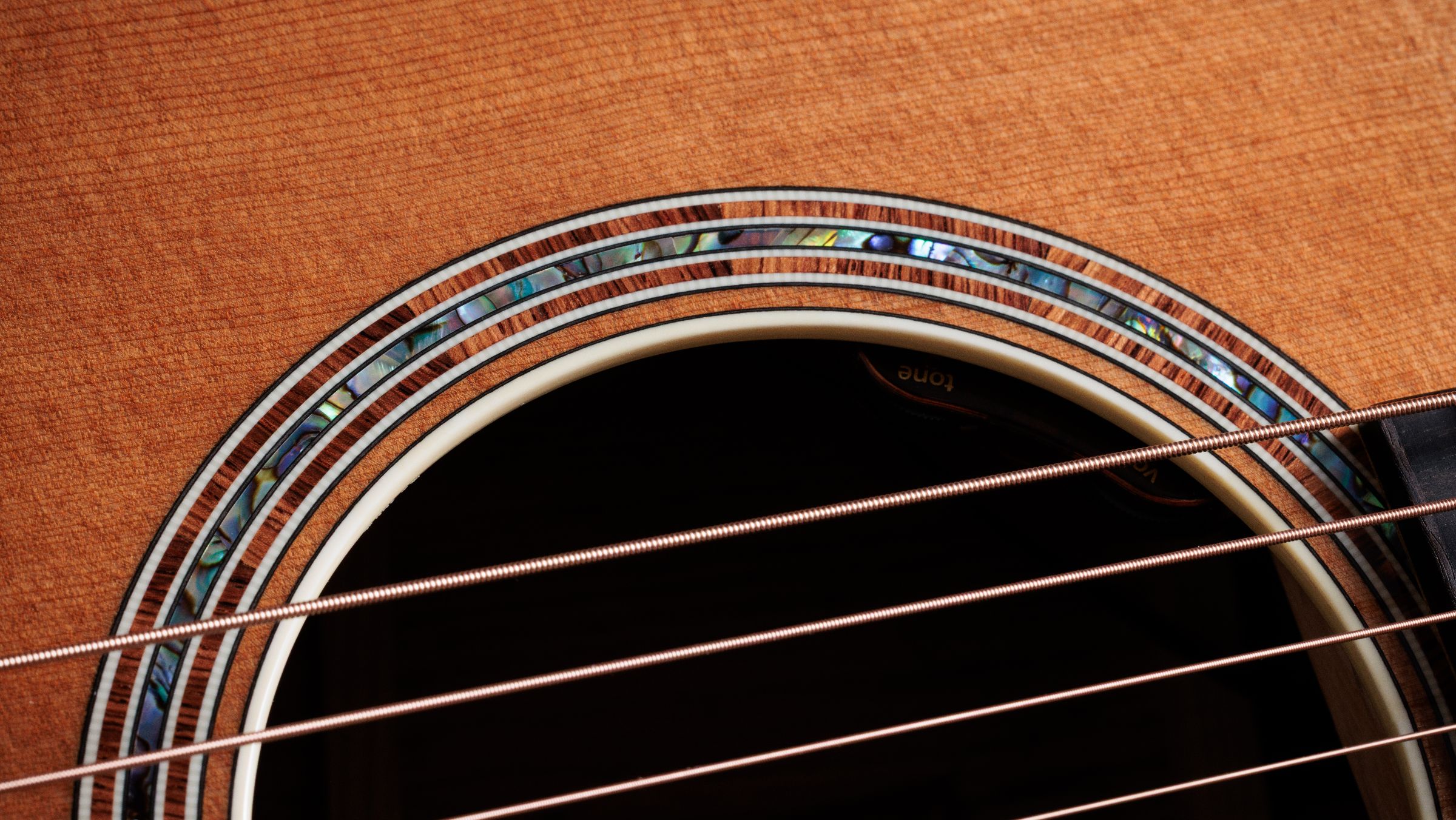 TAYLOR Gold Label 810e