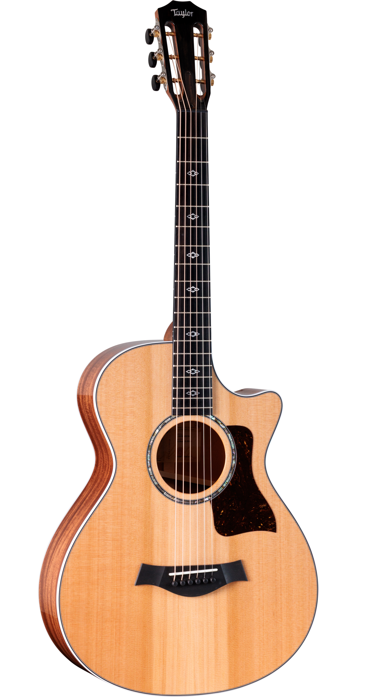 TAYLOR 512ce 12-Fret Next Generation