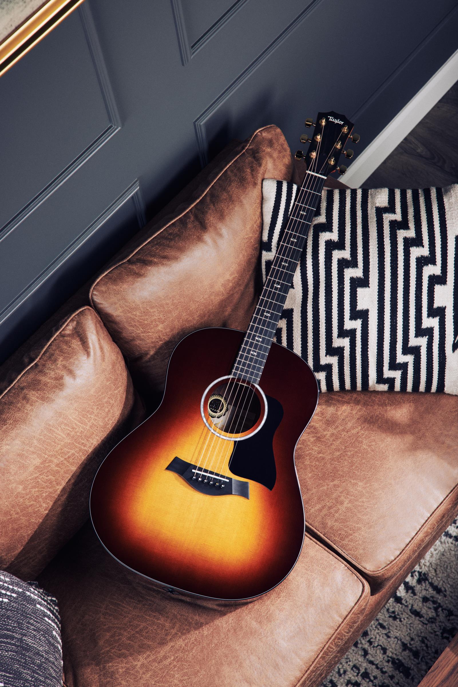 TAYLOR 217e-SB Plus 50th Anniversary