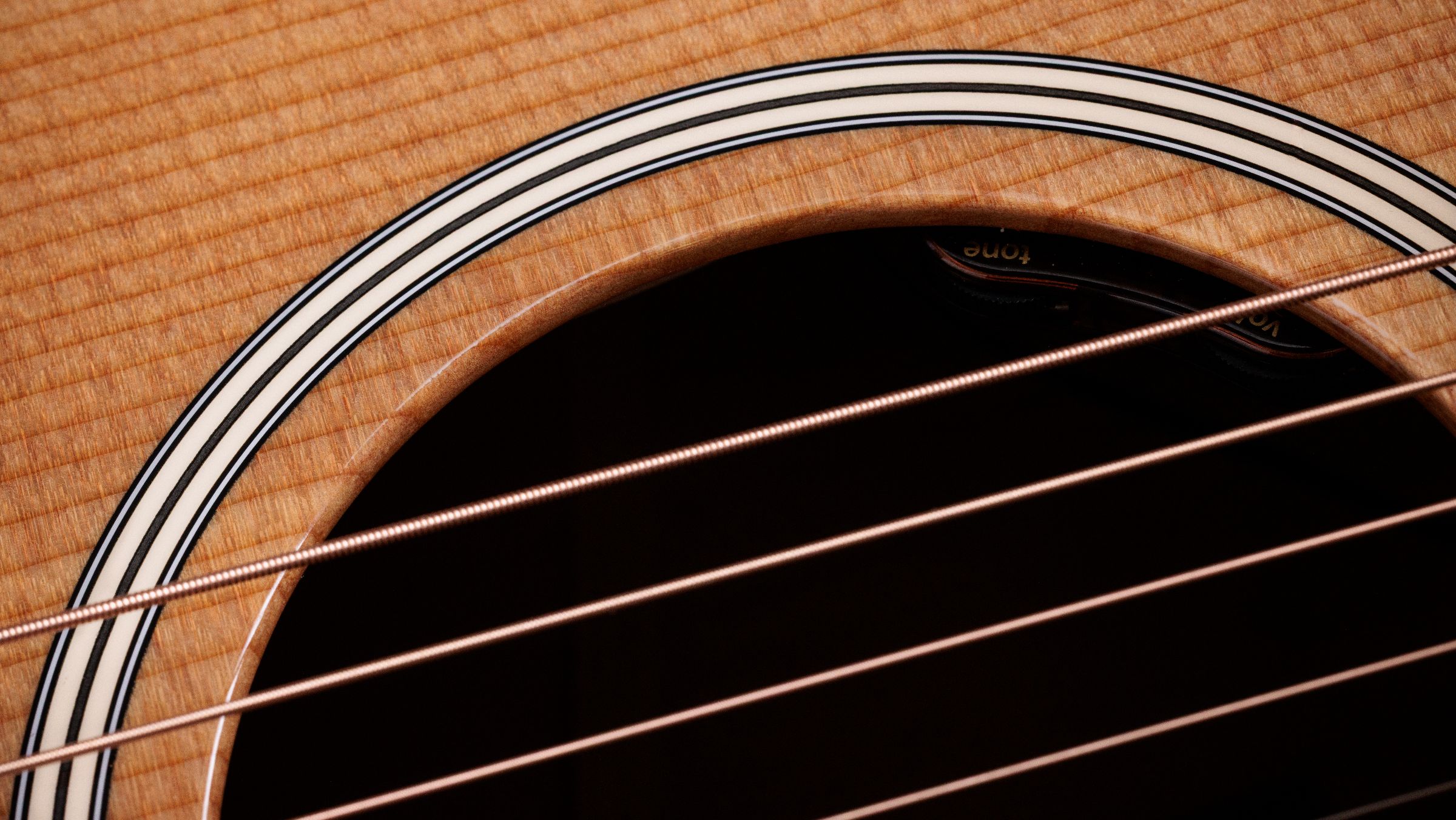 TAYLOR Gold Label 510e