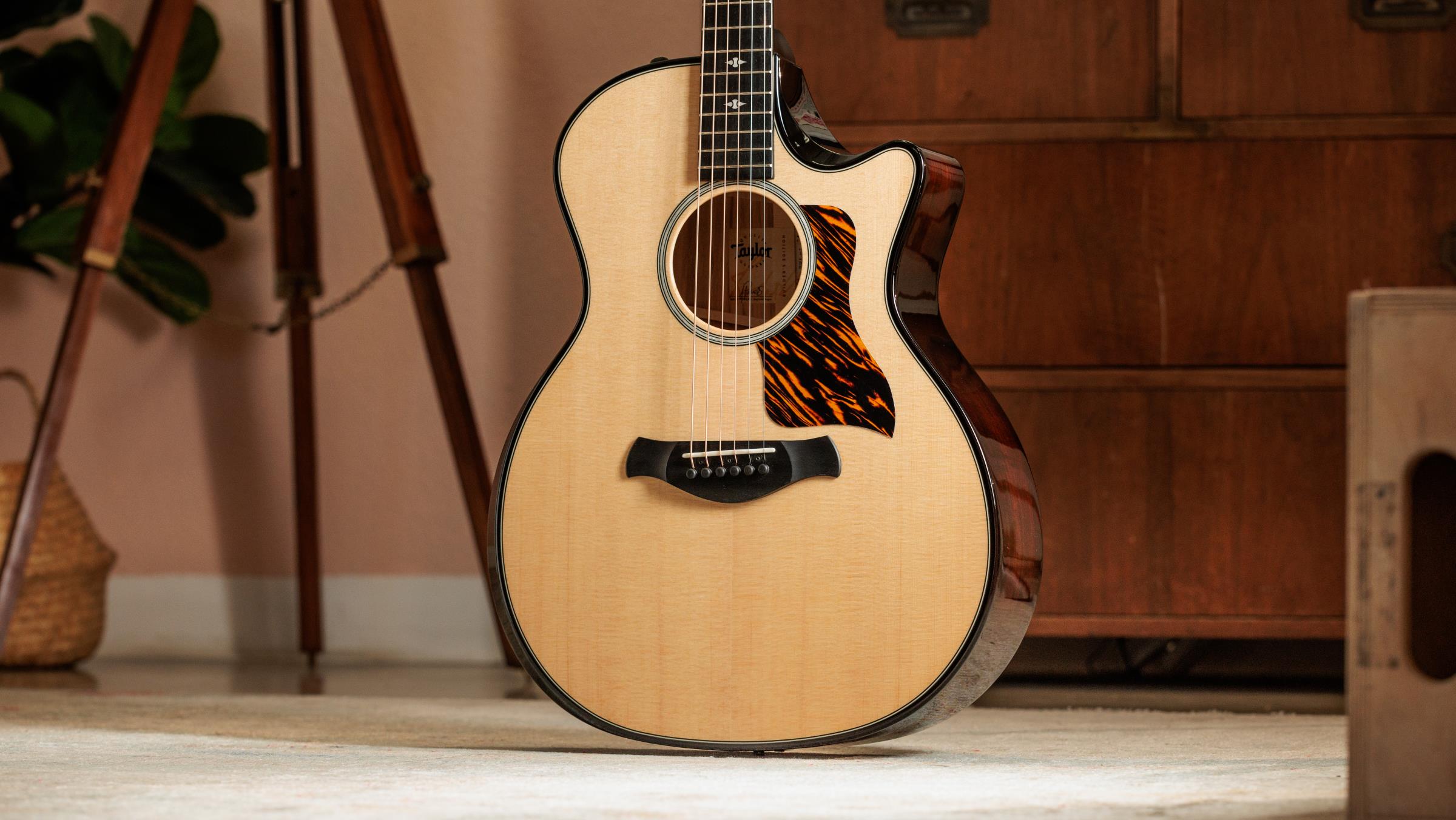 TAYLOR Builder's Edition 514ce,Natural Top TAYLOR Builder's Edition 514ce,Natural Top