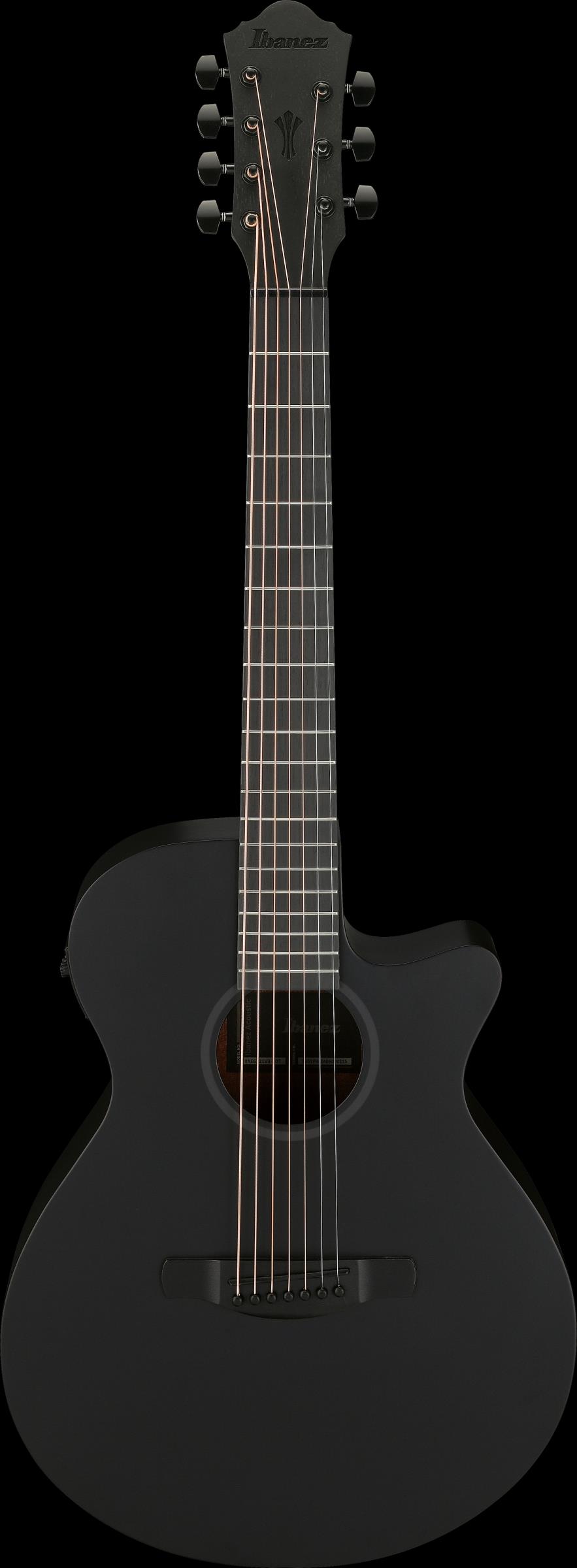 IBANEZ AEG721-BOT