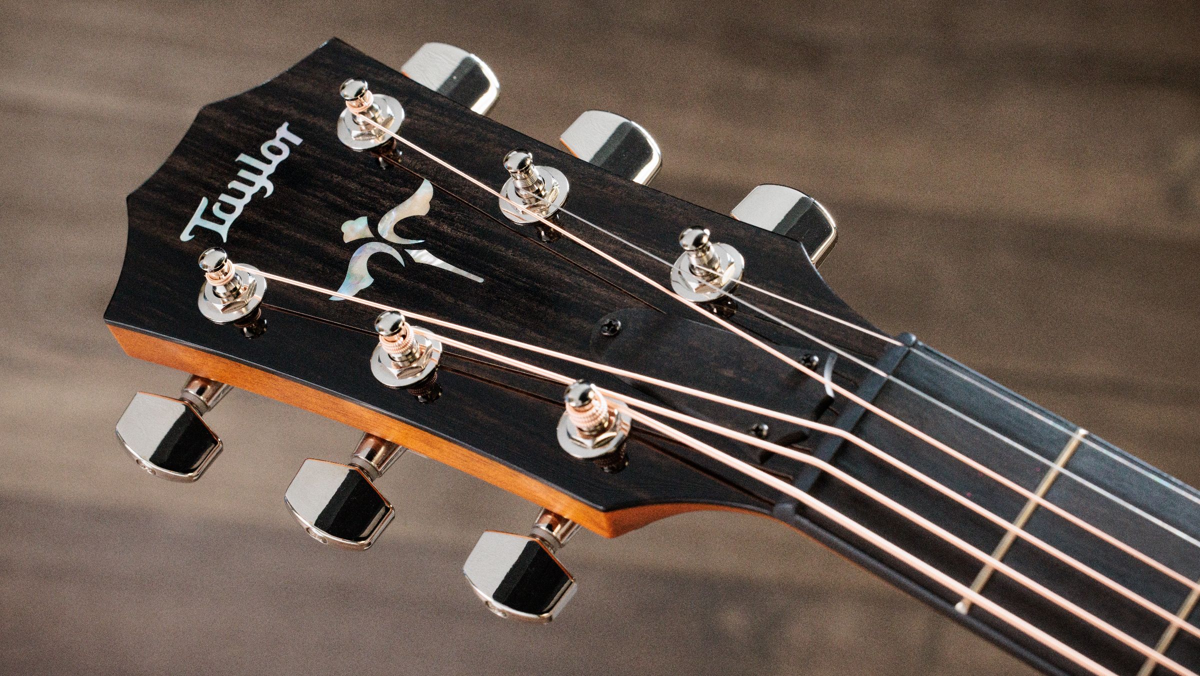 TAYLOR 614ce Next Generation