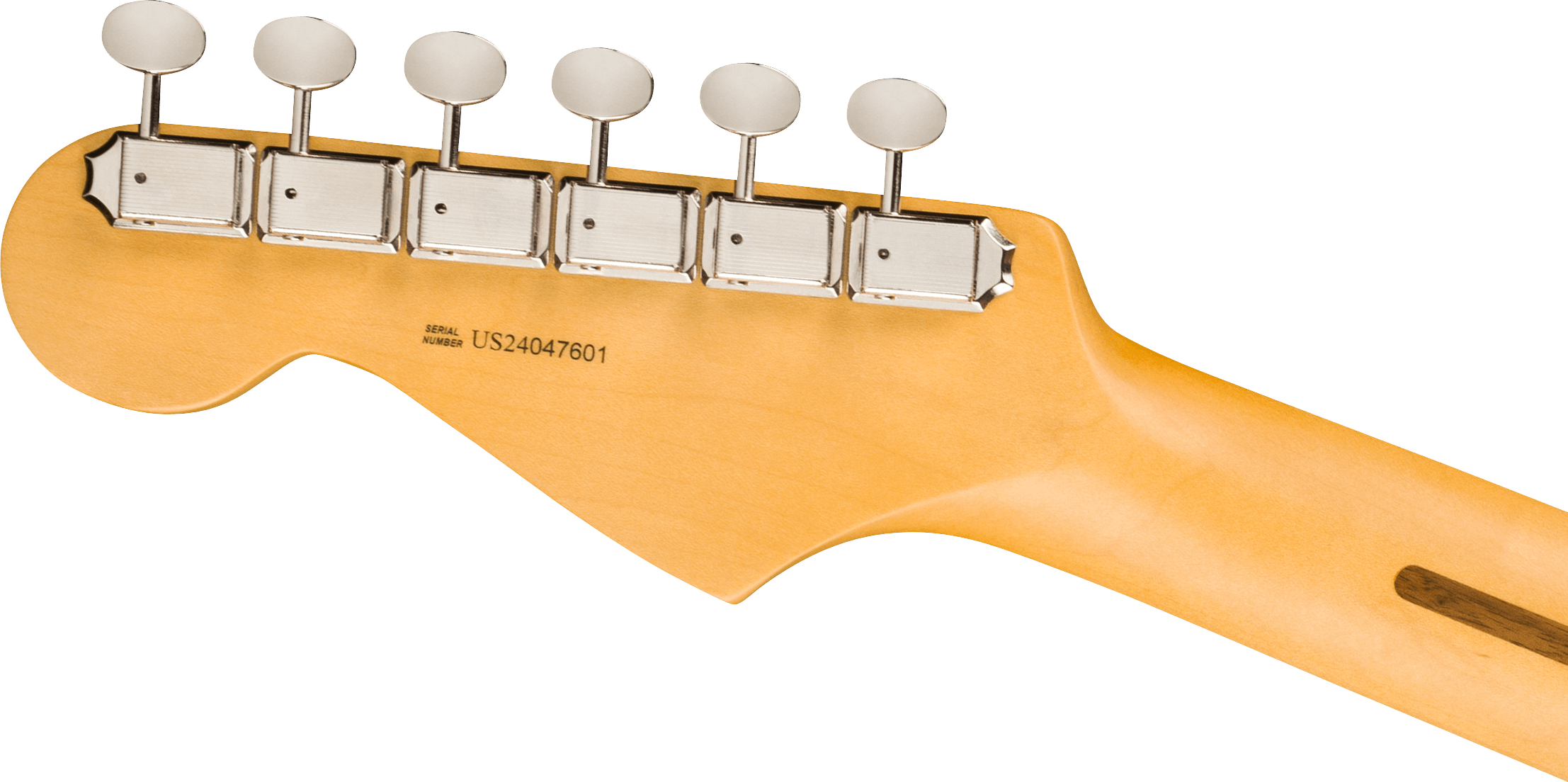 FENDER AM PRO CLSC STRAT RW FDKR