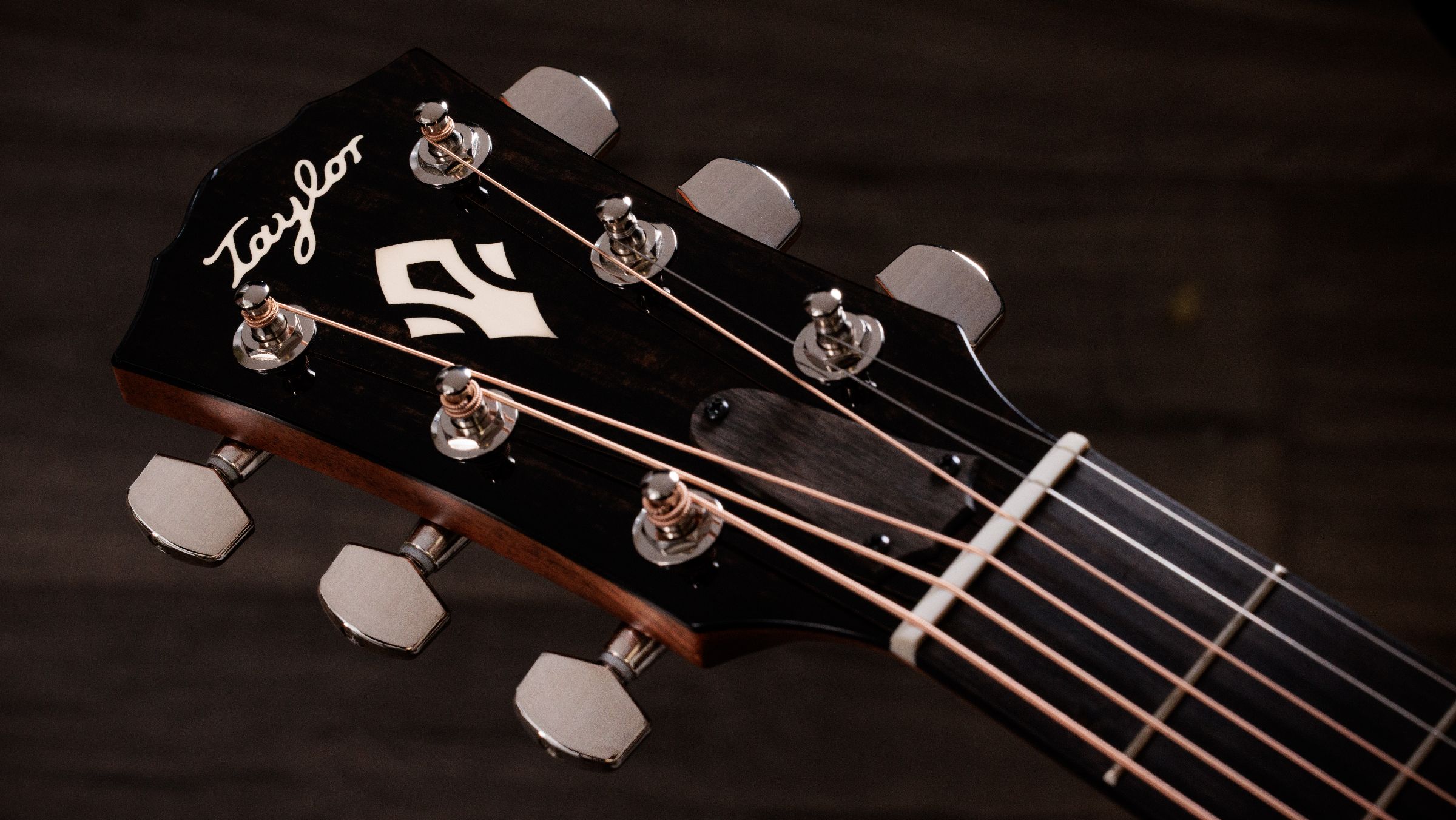 TAYLOR Gold Label 510e