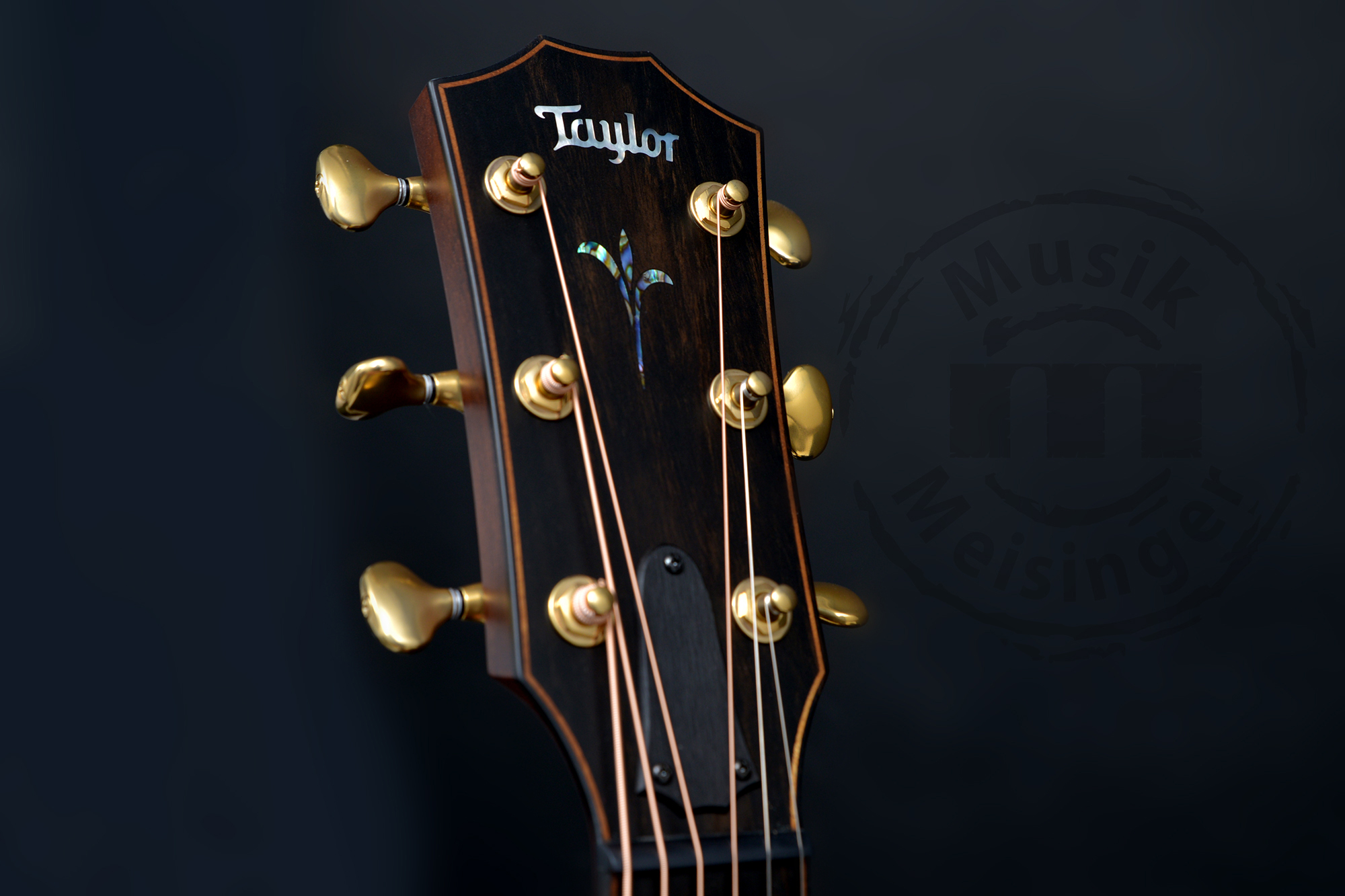 TAYLOR Builders Edition K14ce TAYLOR Builders Edition K14ce