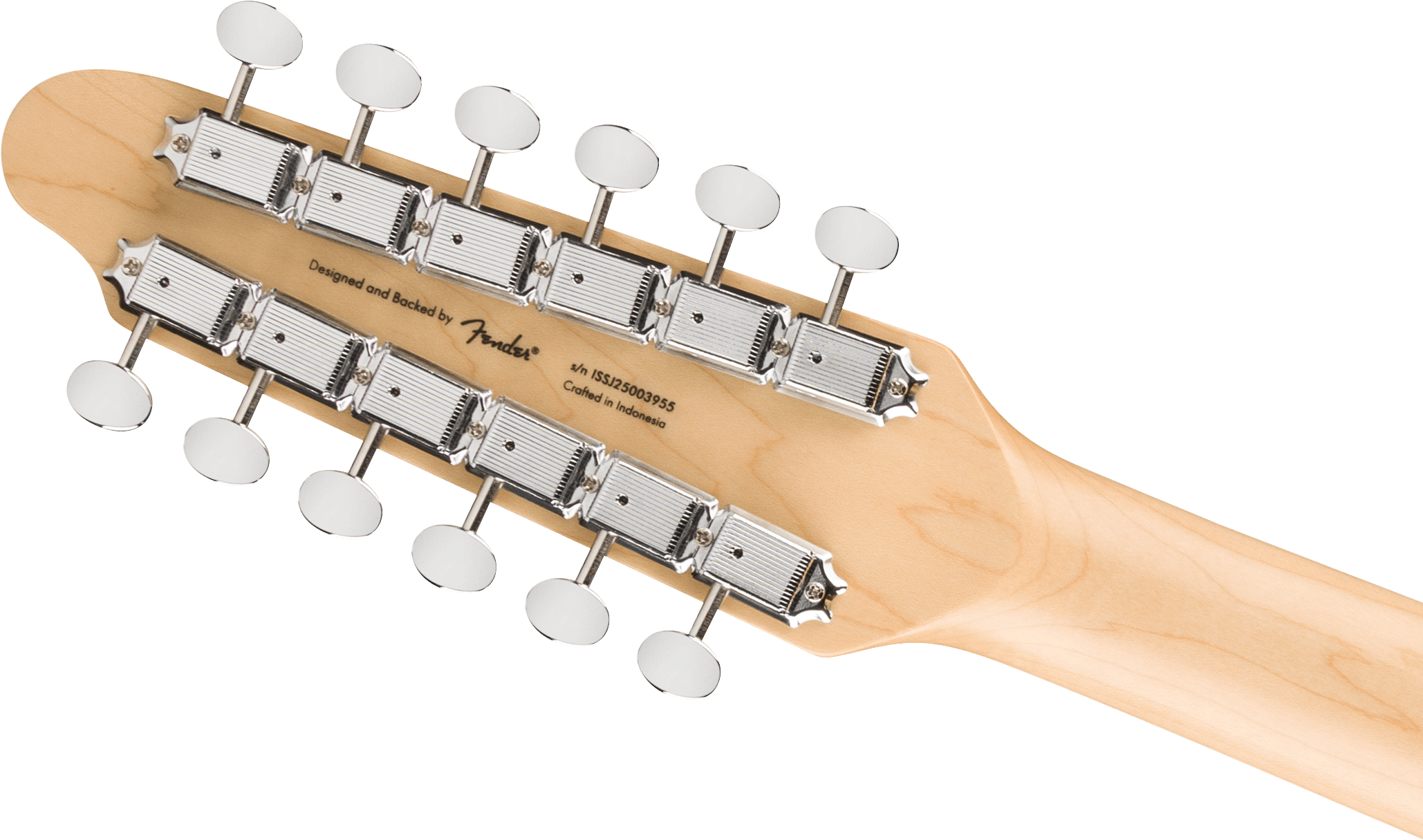 SQUIER PNML TVL TELE XII LRL TPG COP