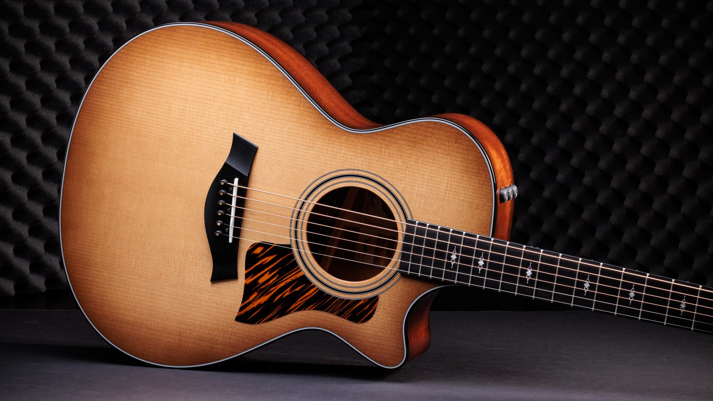 TAYLOR 312ce, 50th Anniversary