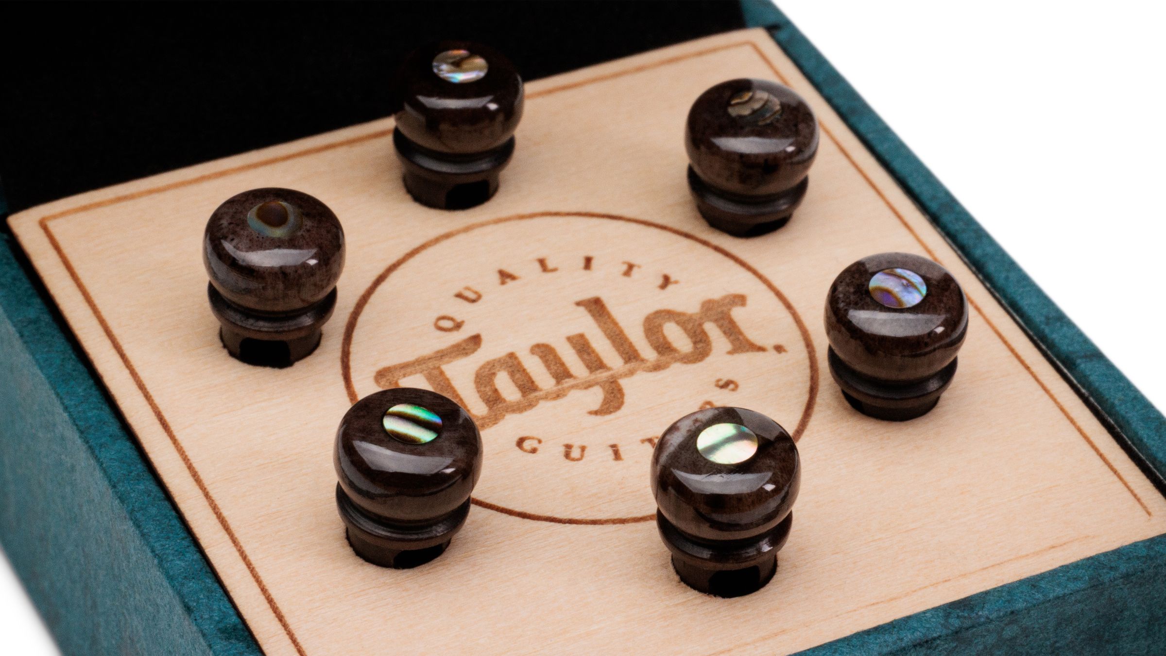 TAYLOR Bridge Pin Set,5"Taper,Bone,Brown w/Abalone