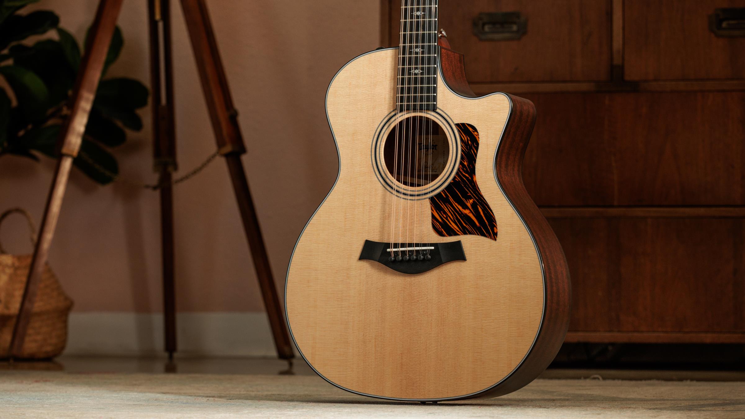 TAYLOR 354ce 12 String TAYLOR 354ce 12 String