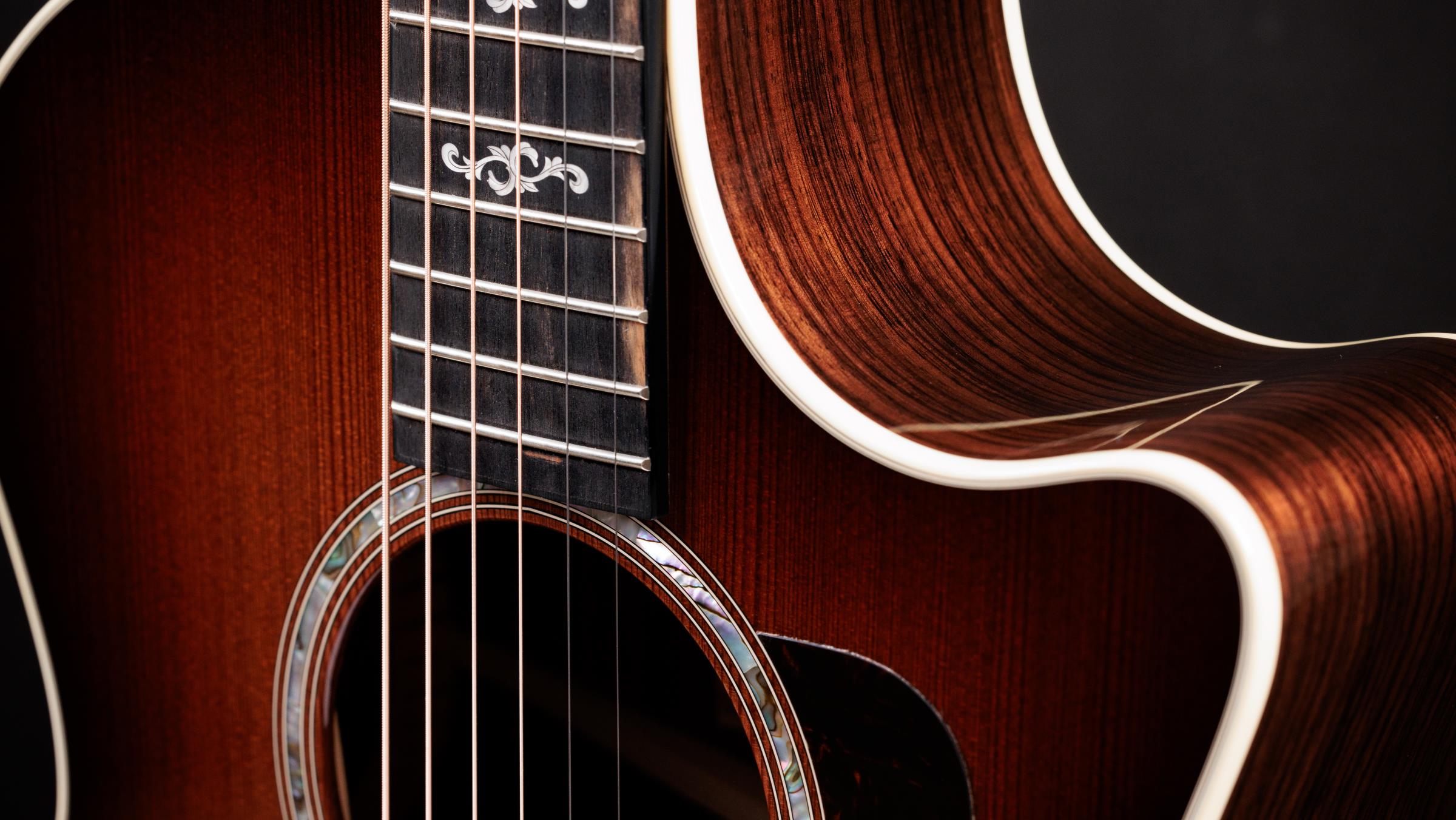 TAYLOR 414ce Special Edition, 50th Anniversary