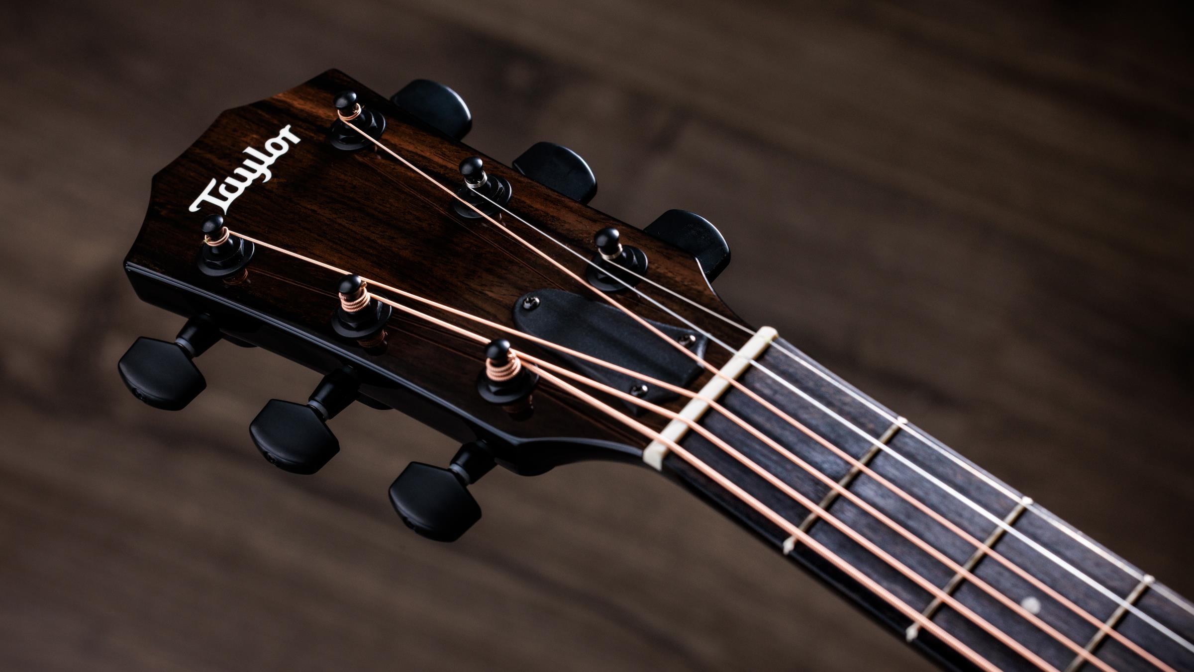 TAYLOR 214ce-BLK Plus TAYLOR 214ce-BLK Plus