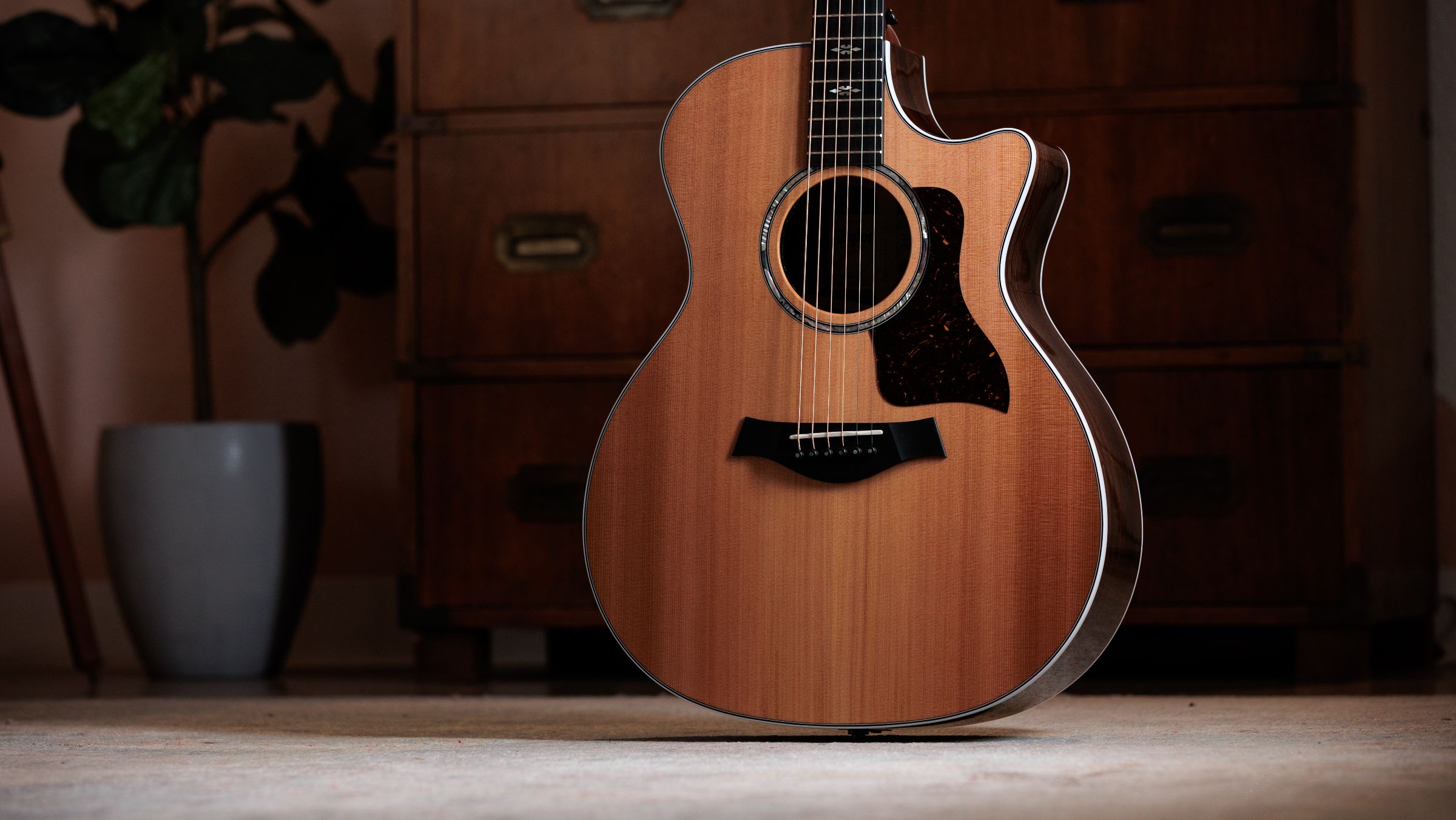 TAYLOR 714ce,Ind.Rosewood/Cedar,2026