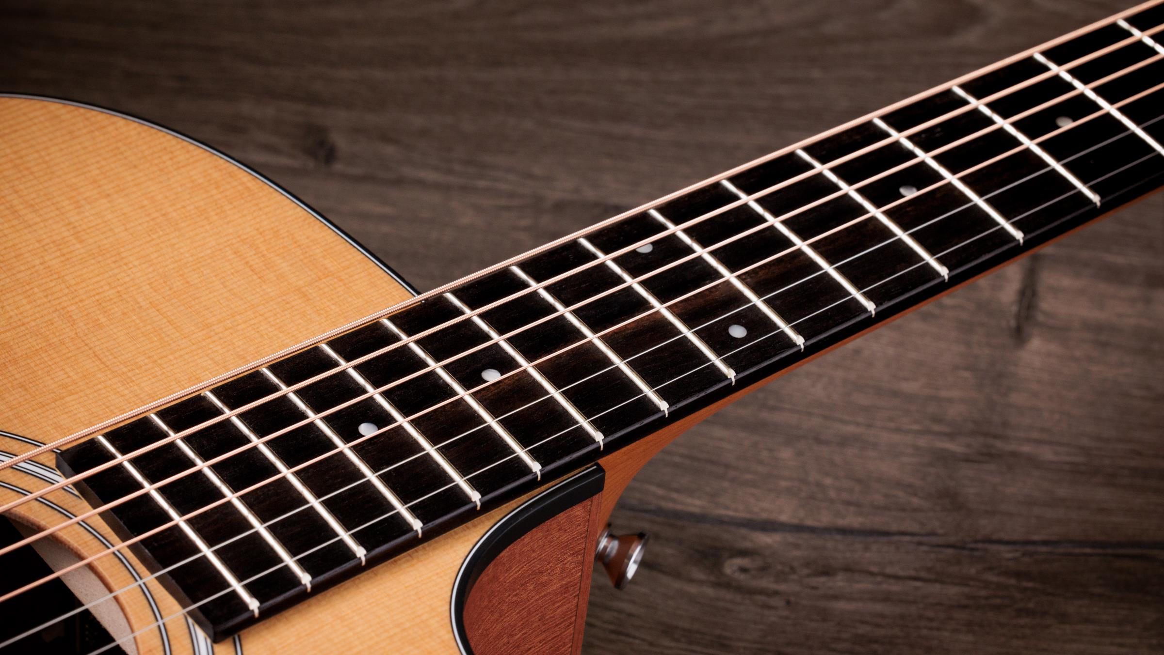TAYLOR 110ce Sapele