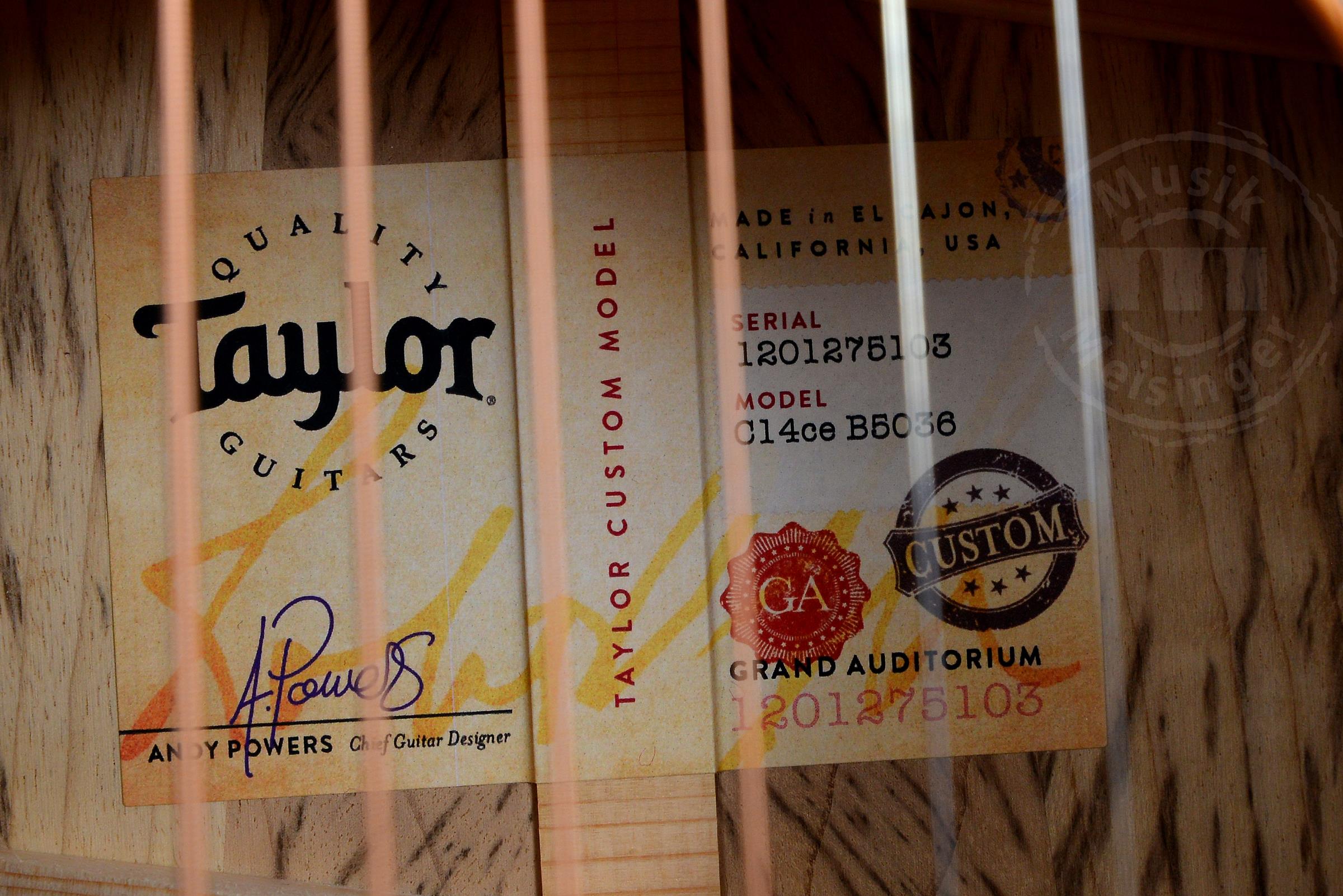 TAYLOR Custom GA,Tiger Myrtle/Sitka(Bearclaw),Custom#36 TAYLOR Custom GA,Tiger Myrtle/Sitka(Bearclaw),Custom#36