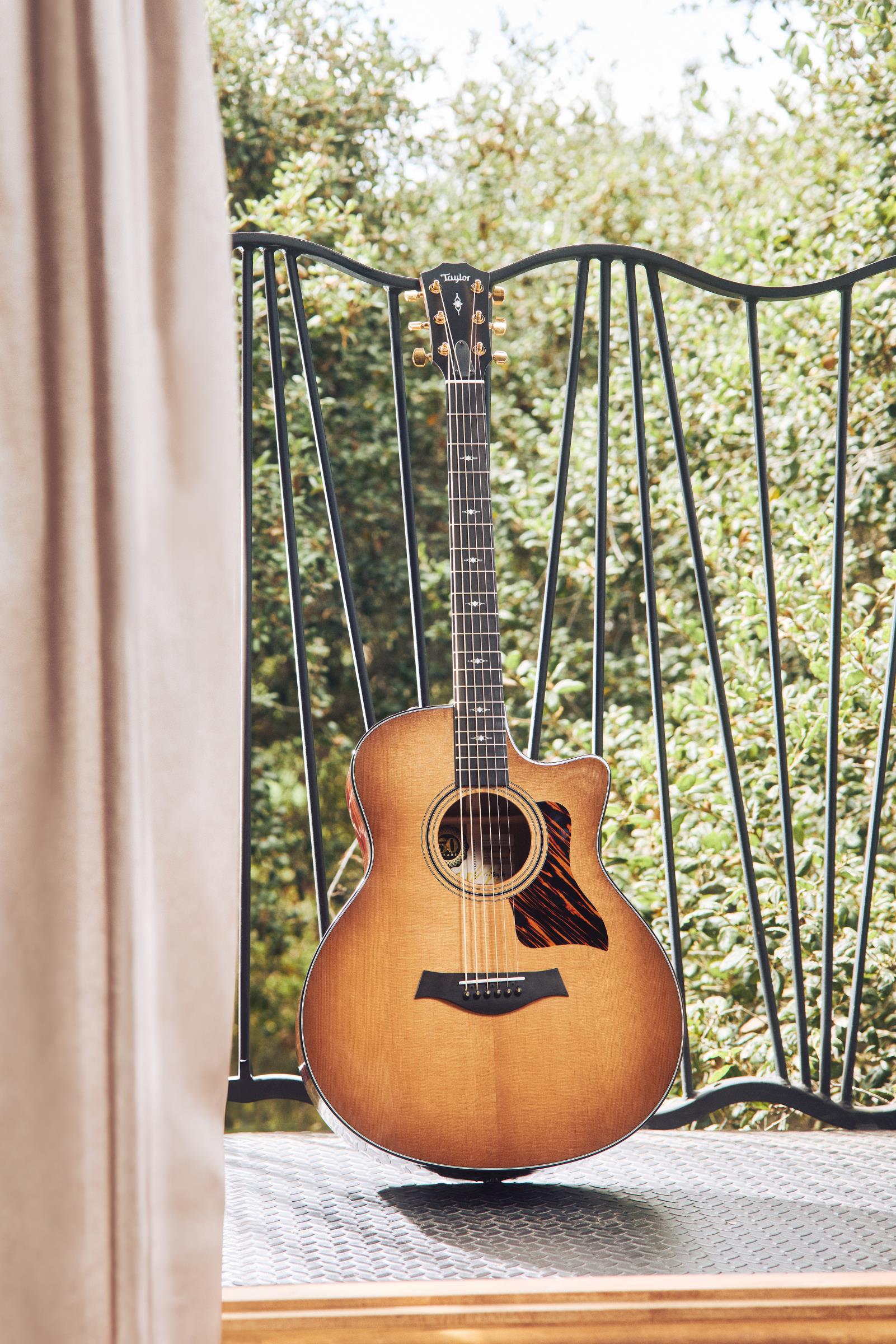 TAYLOR 316ce Baritone LTD, 50th Anniversary