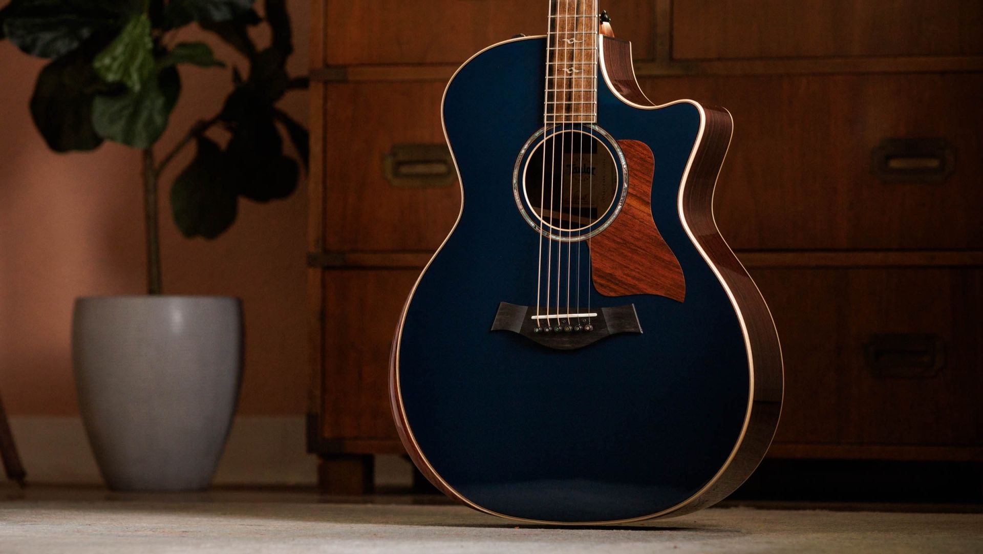 TAYLOR 814ce Special Edition Sapphire Top TAYLOR 814ce Special Edition Sapphire Top