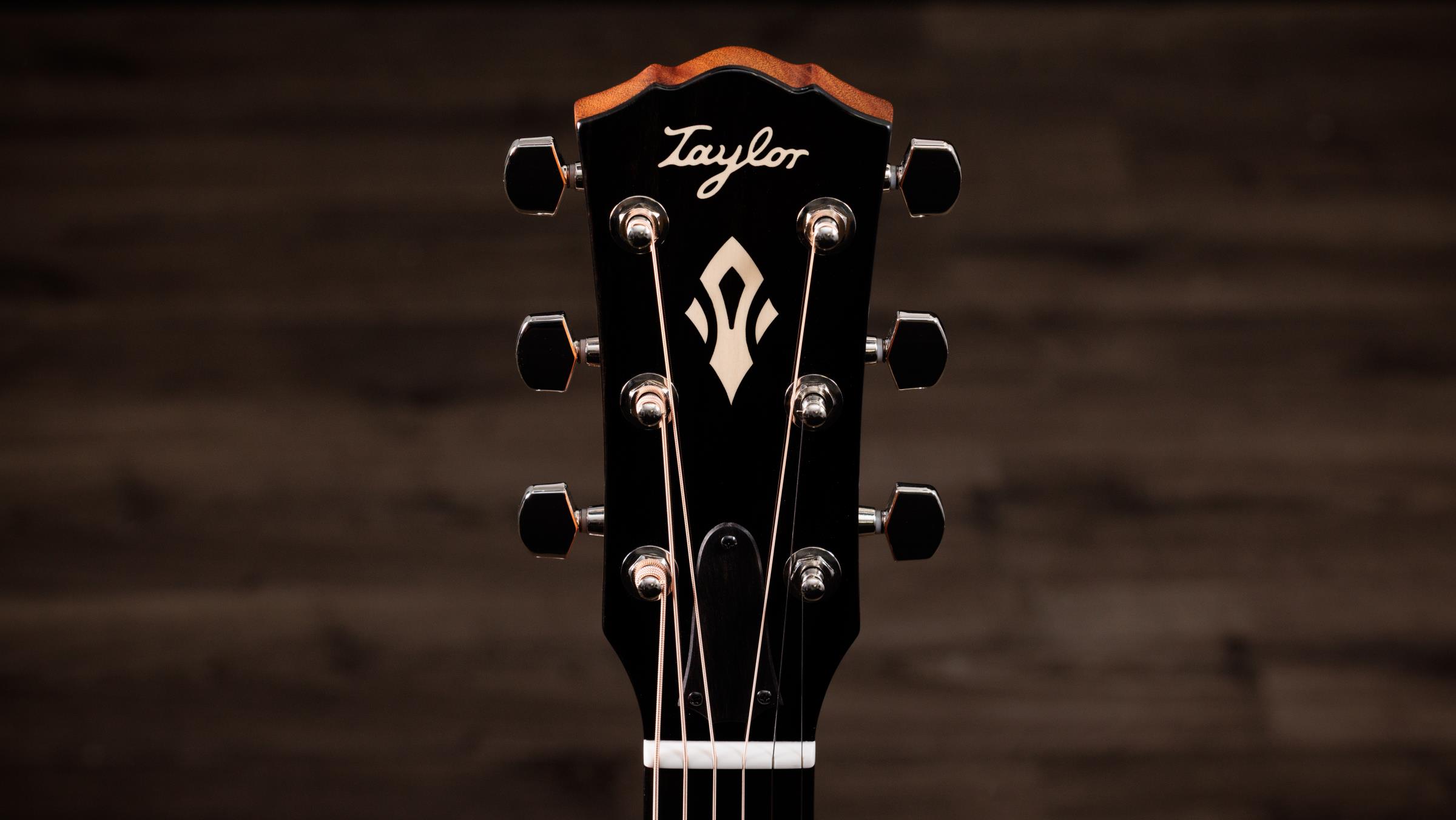 TAYLOR Gold Label 717e TAYLOR Gold Label 717e