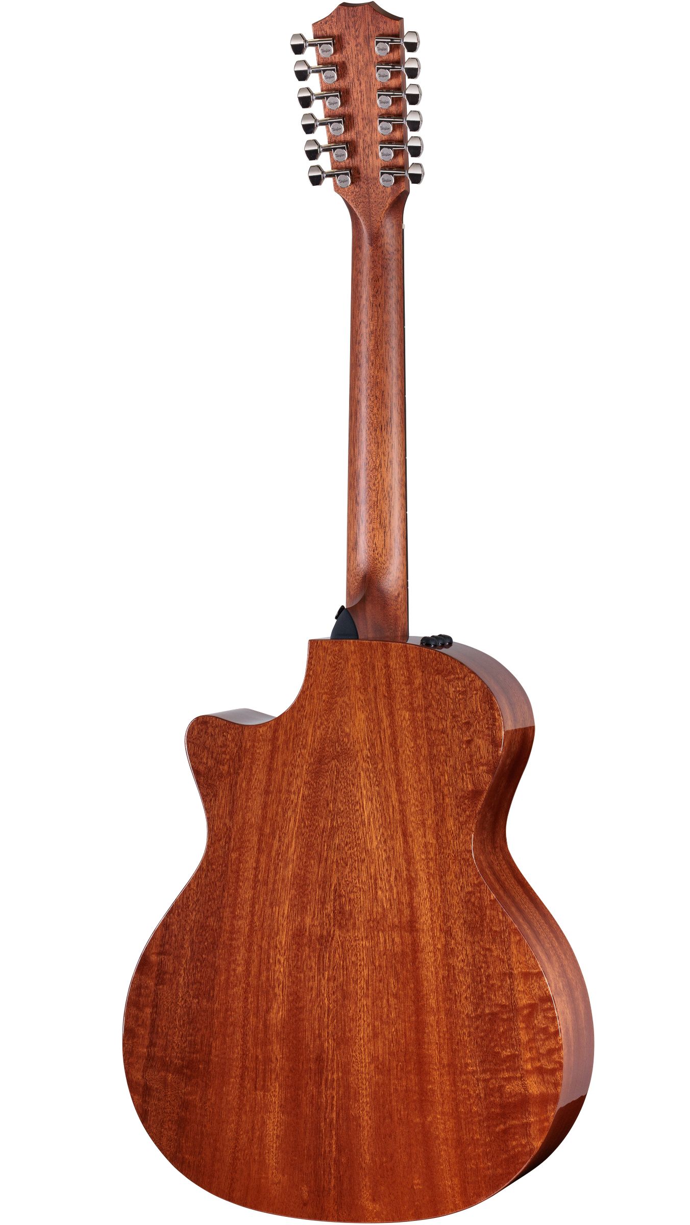 TAYLOR 354ce Studio Special Edition Honeyburst