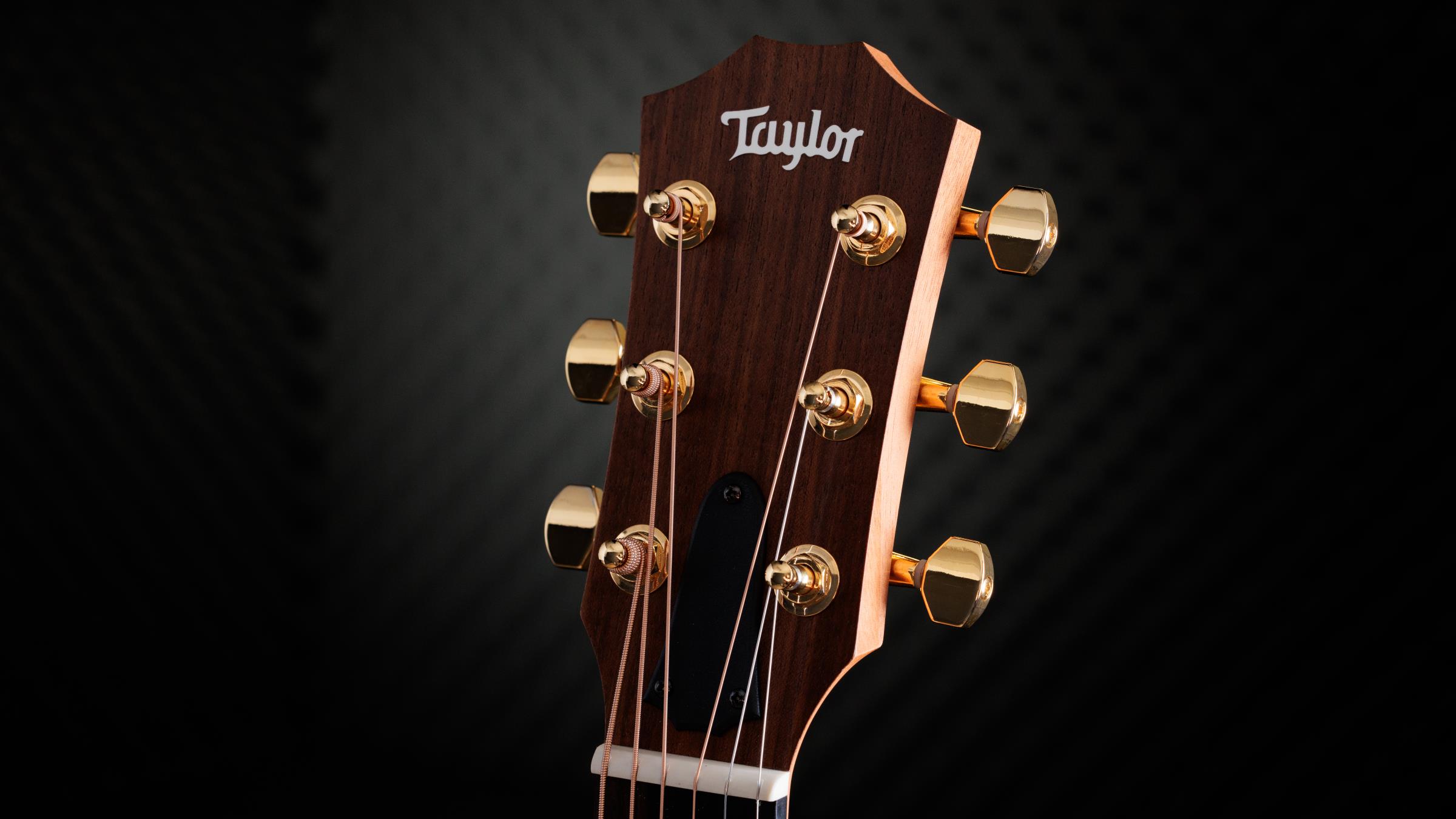 TAYLOR GS Mini-e VSB 50th Anniversary TAYLOR GS Mini-e VSB 50th Anniversary