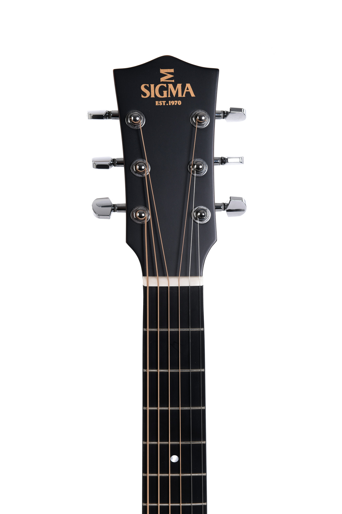 Sigma Guitars LM-SGE