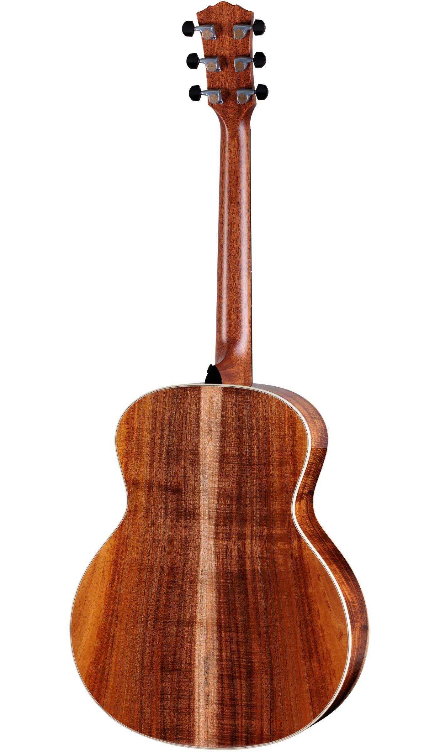 TAYLOR Gold Label 814e Koa TAYLOR Gold Label 814e Koa