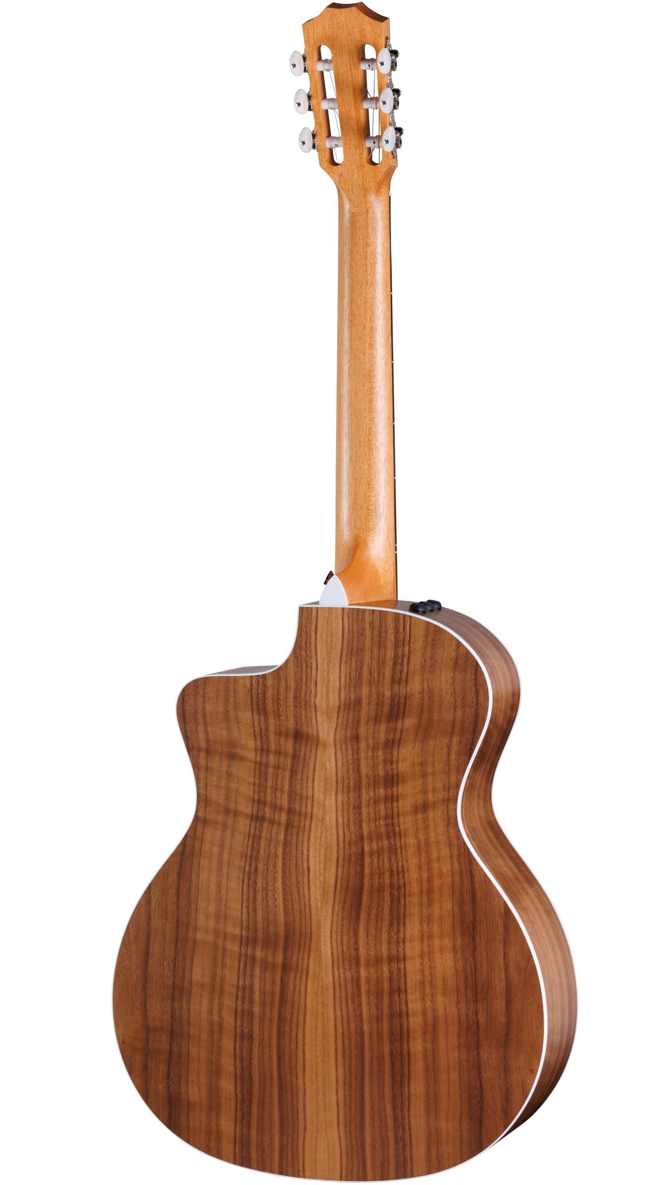 TAYLOR 214ce-N TAYLOR 214ce-N