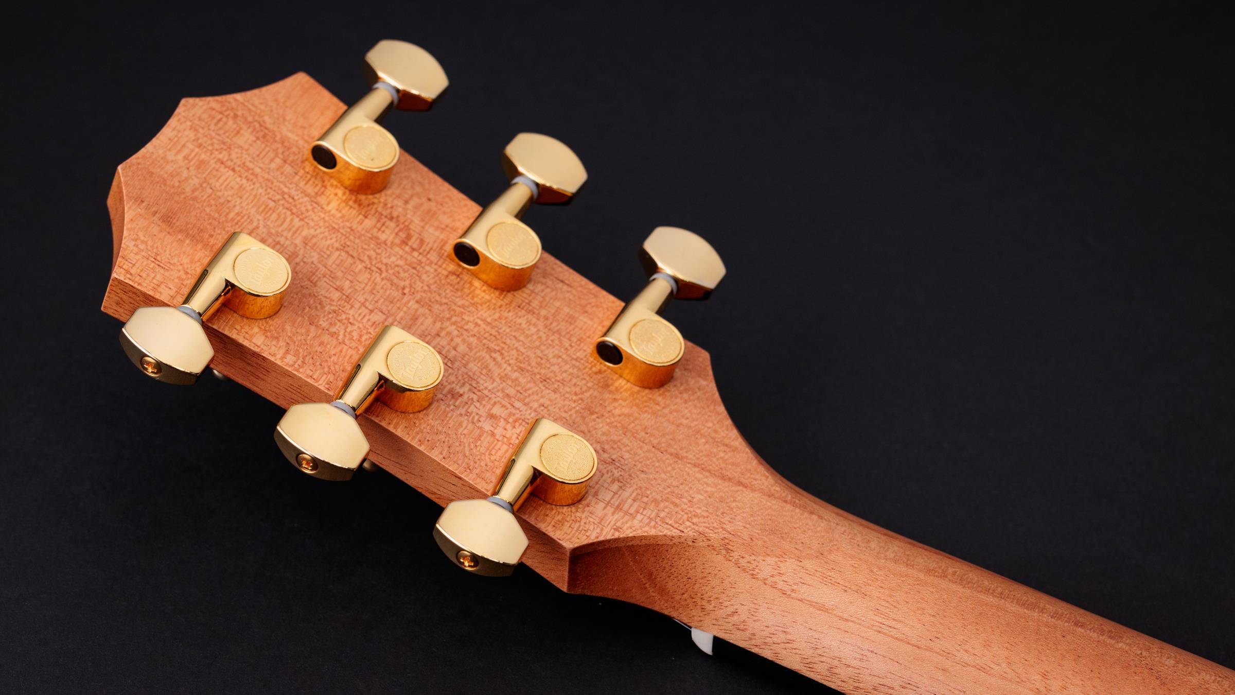 TAYLOR GS Mini-e VSB 50th Anniversary TAYLOR GS Mini-e VSB 50th Anniversary