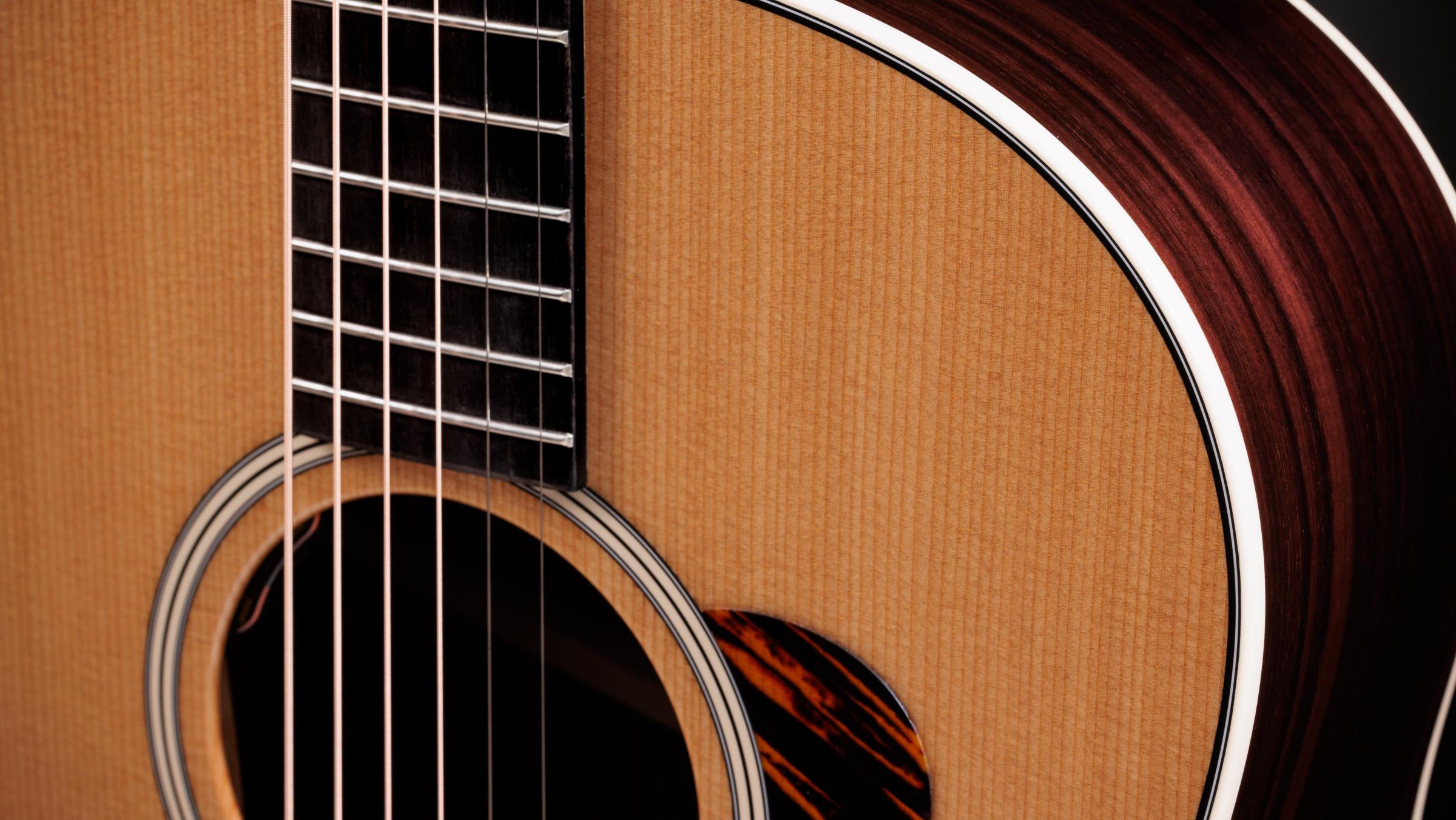 TAYLOR Gold Label 717e TAYLOR Gold Label 717e