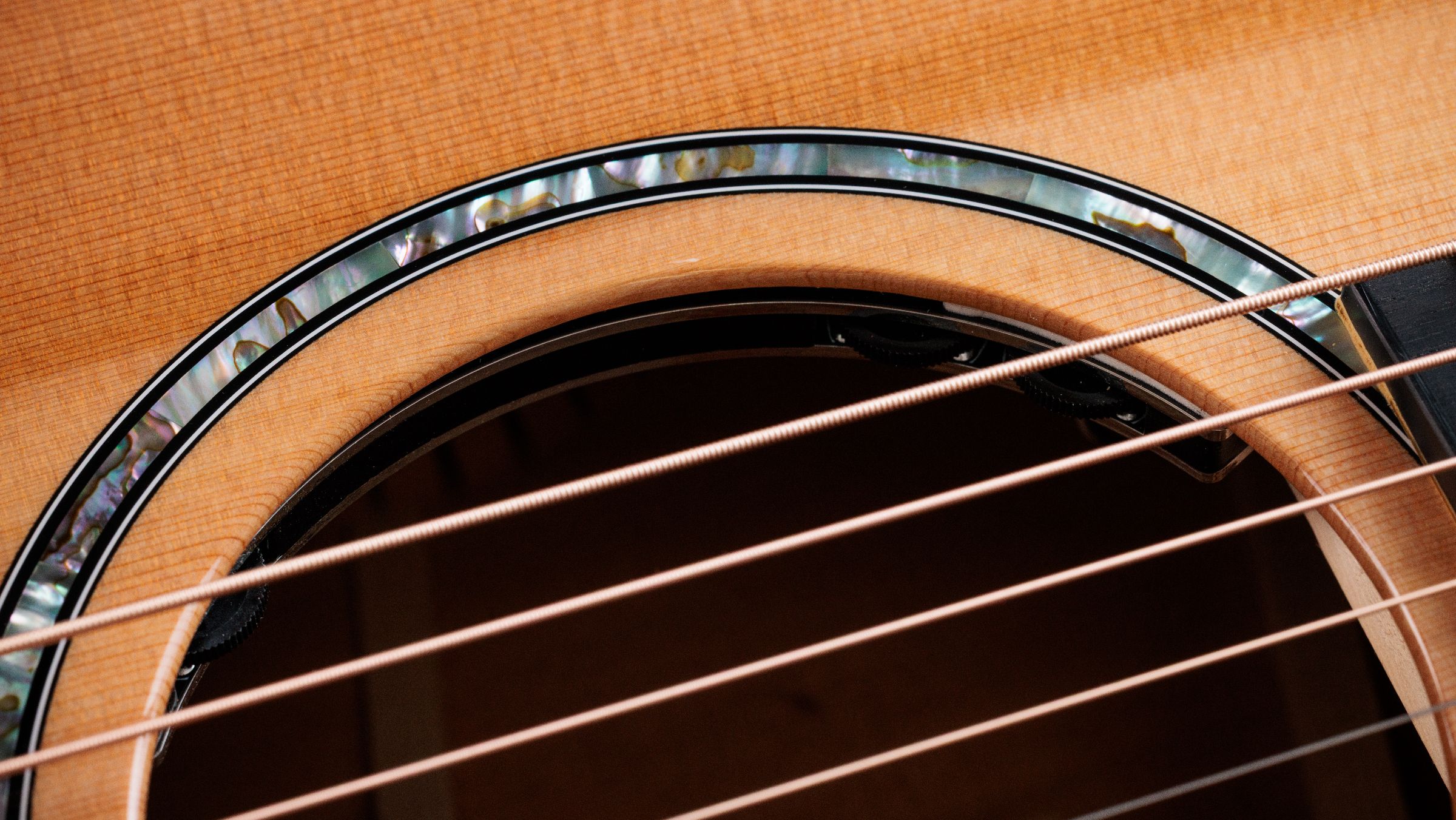 TAYLOR 512ce 12-Fret Next Generation
