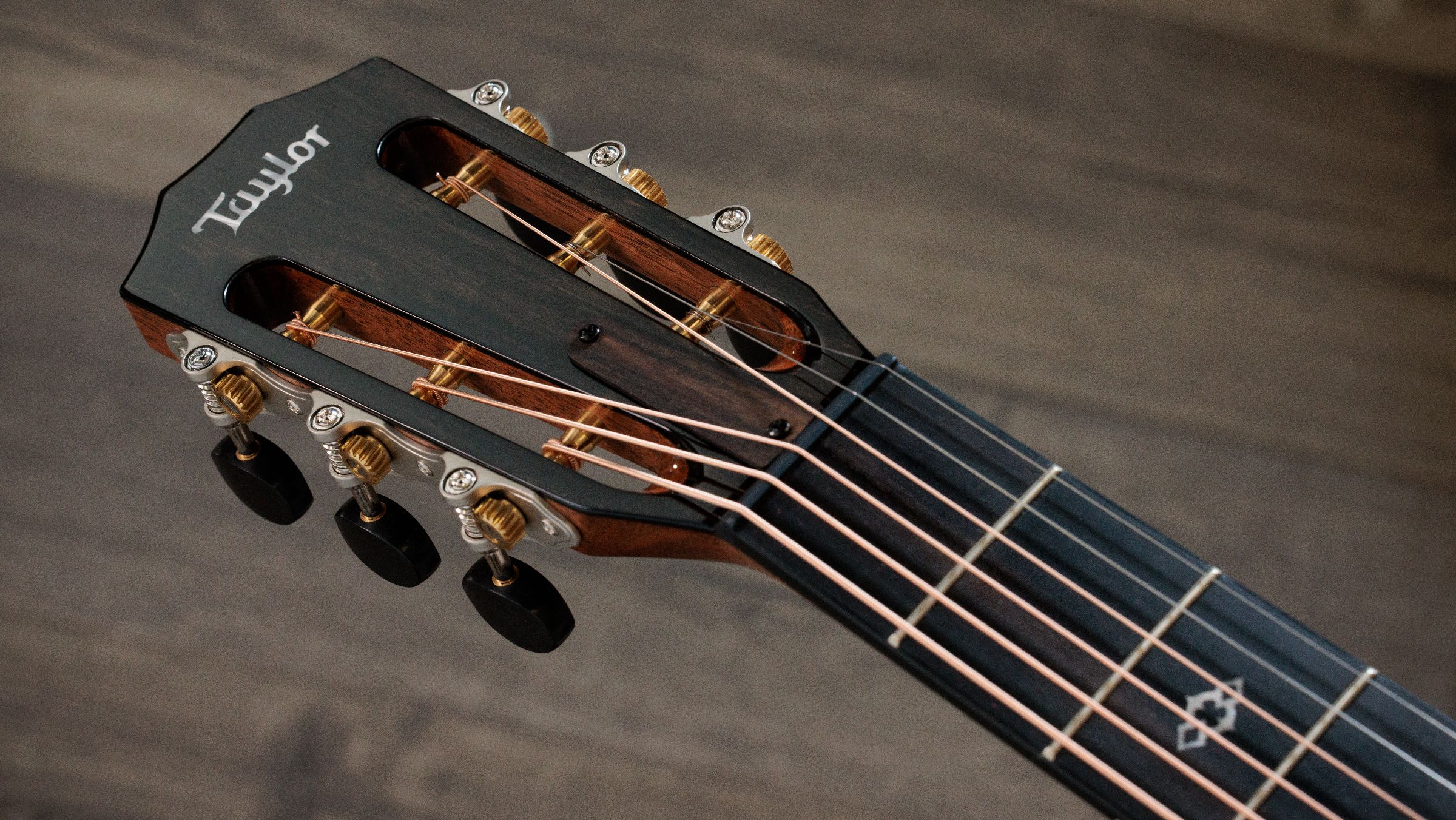 TAYLOR 512ce 12-Fret Next Generation