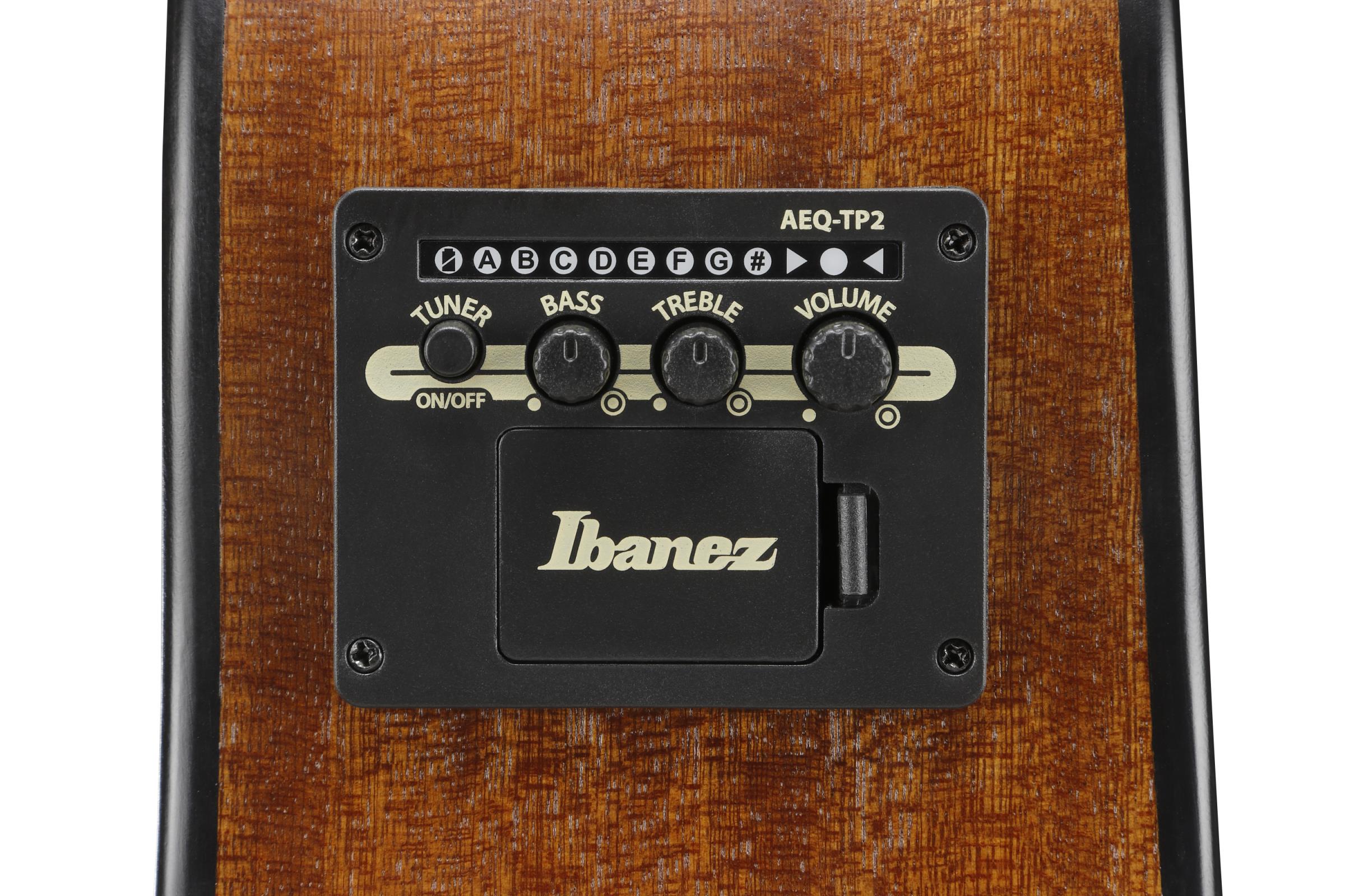 IBANEZ AAM50LCE-OLB