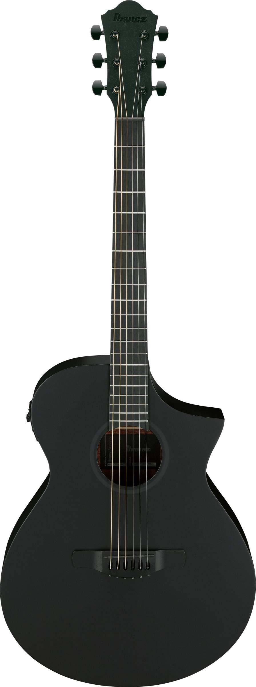 IBANEZ AEWC621-BOT