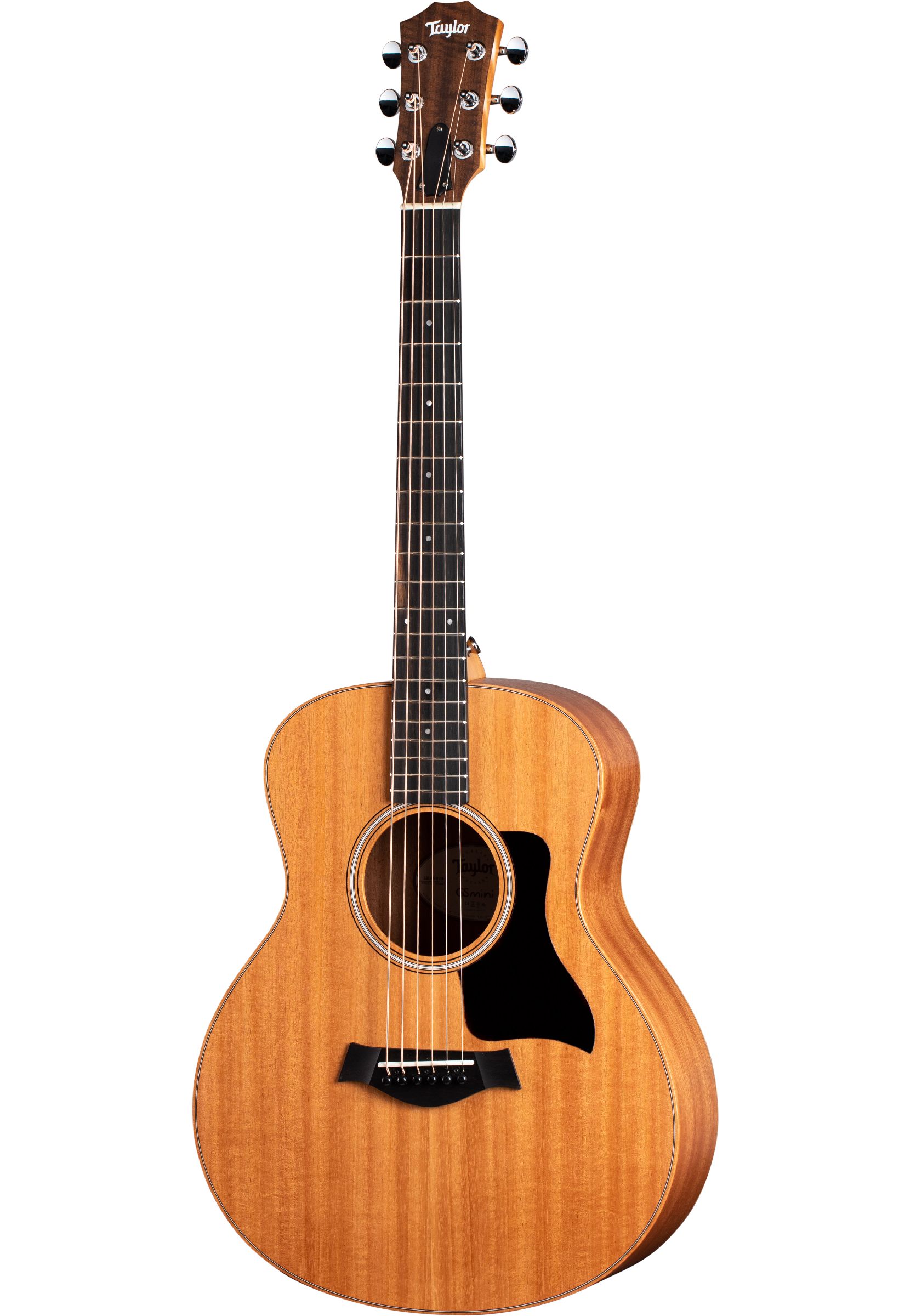 TAYLOR GS Mini-e Mahagony