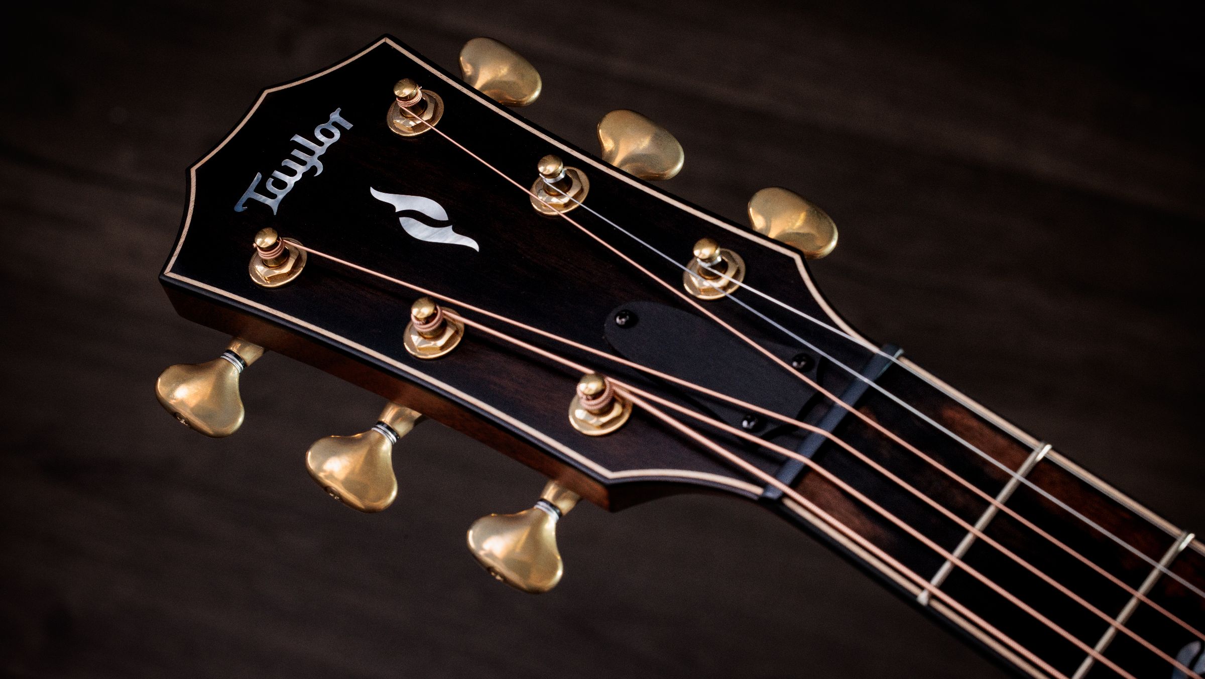 TAYLOR Builder's Edition 814ce Honduran / Adirondack, Next G