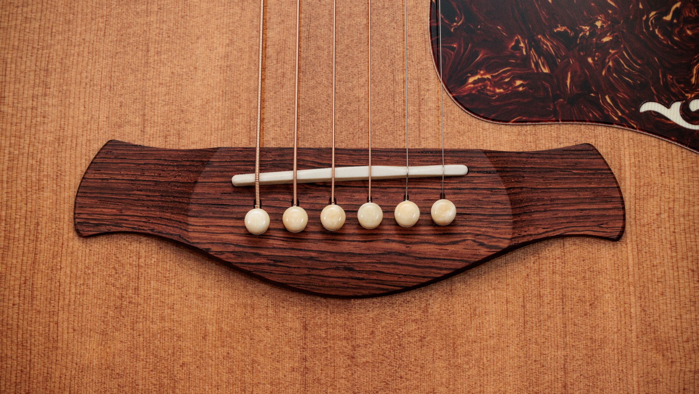 TAYLOR Gold Label 810e