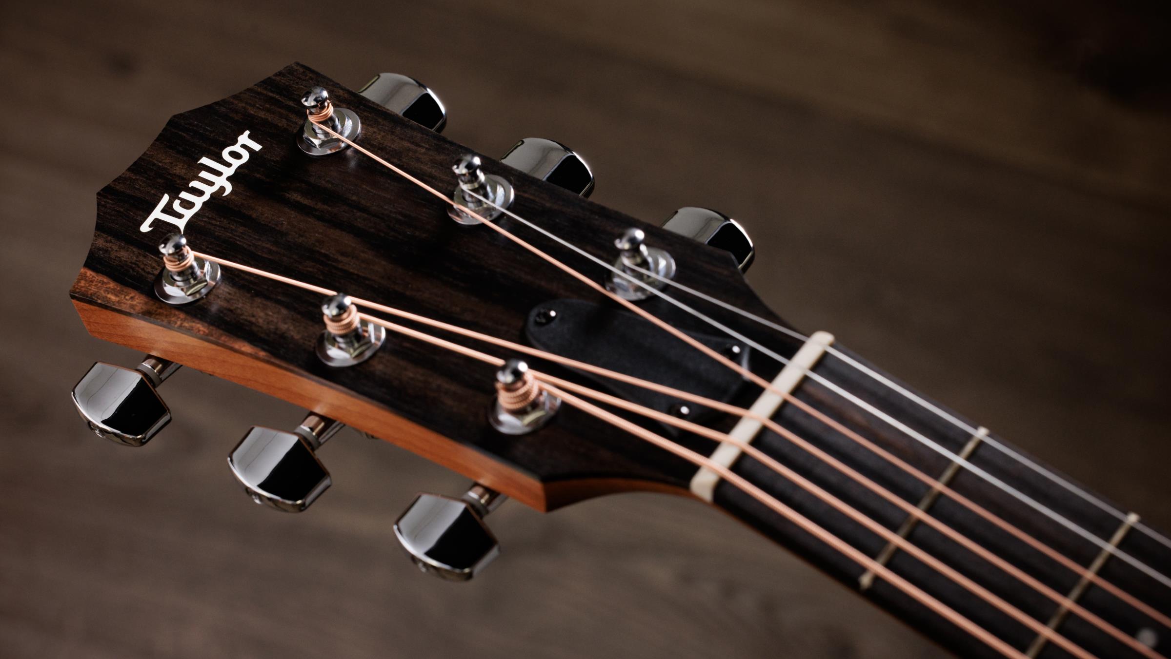 TAYLOR 110ce Sapele
