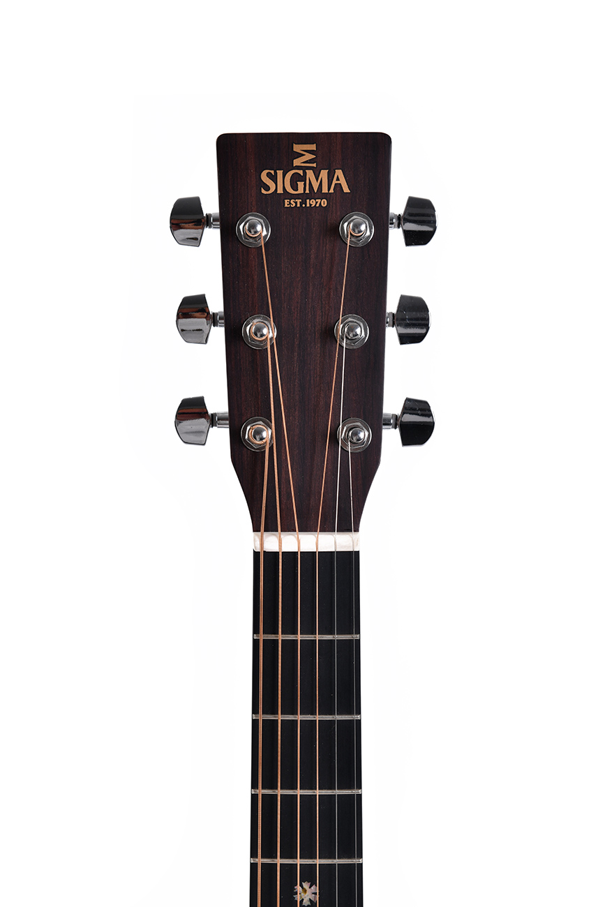 Sigma Guitars DT-1E