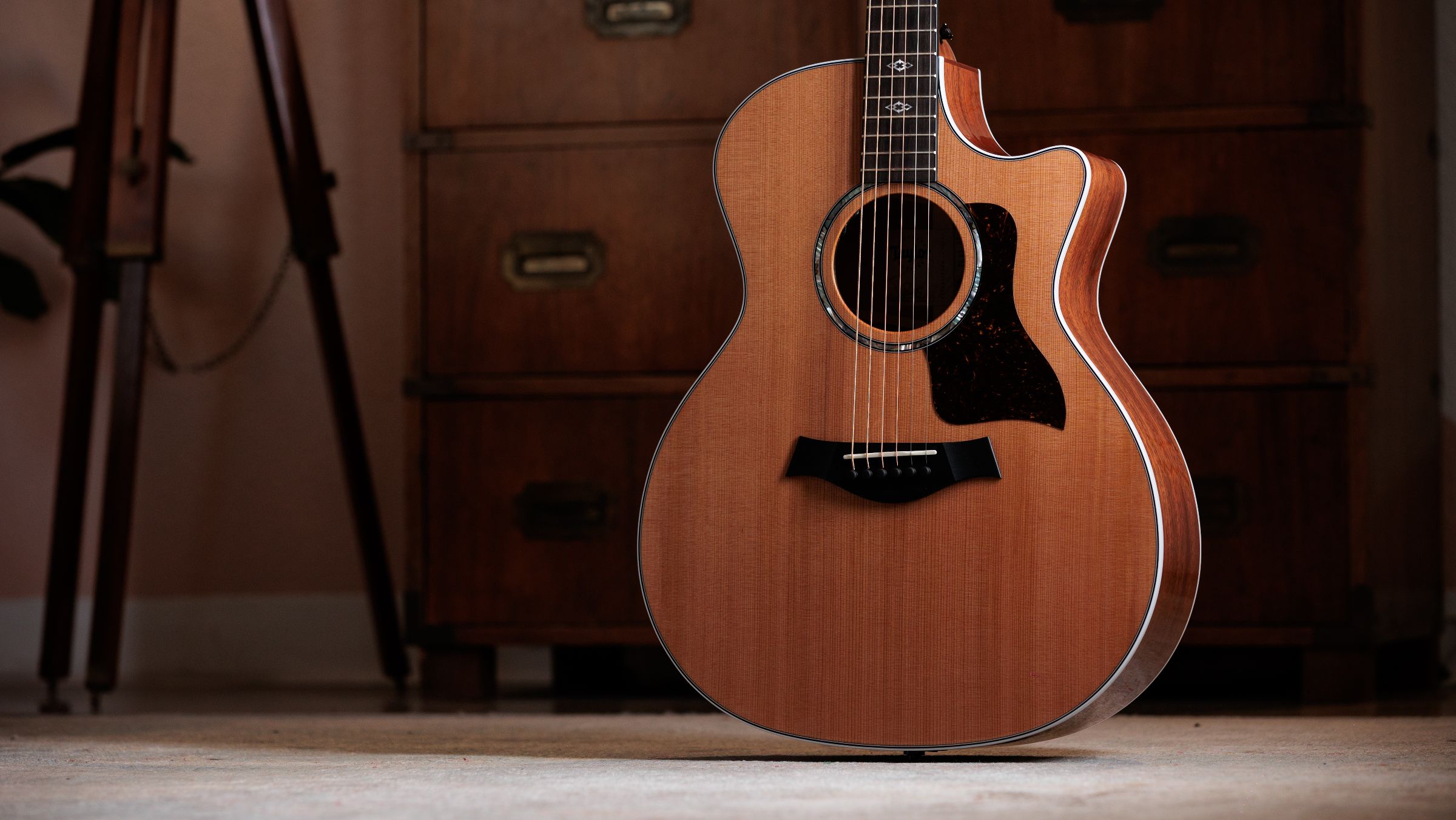 TAYLOR 514ce,Mahogany/Cedar,2026