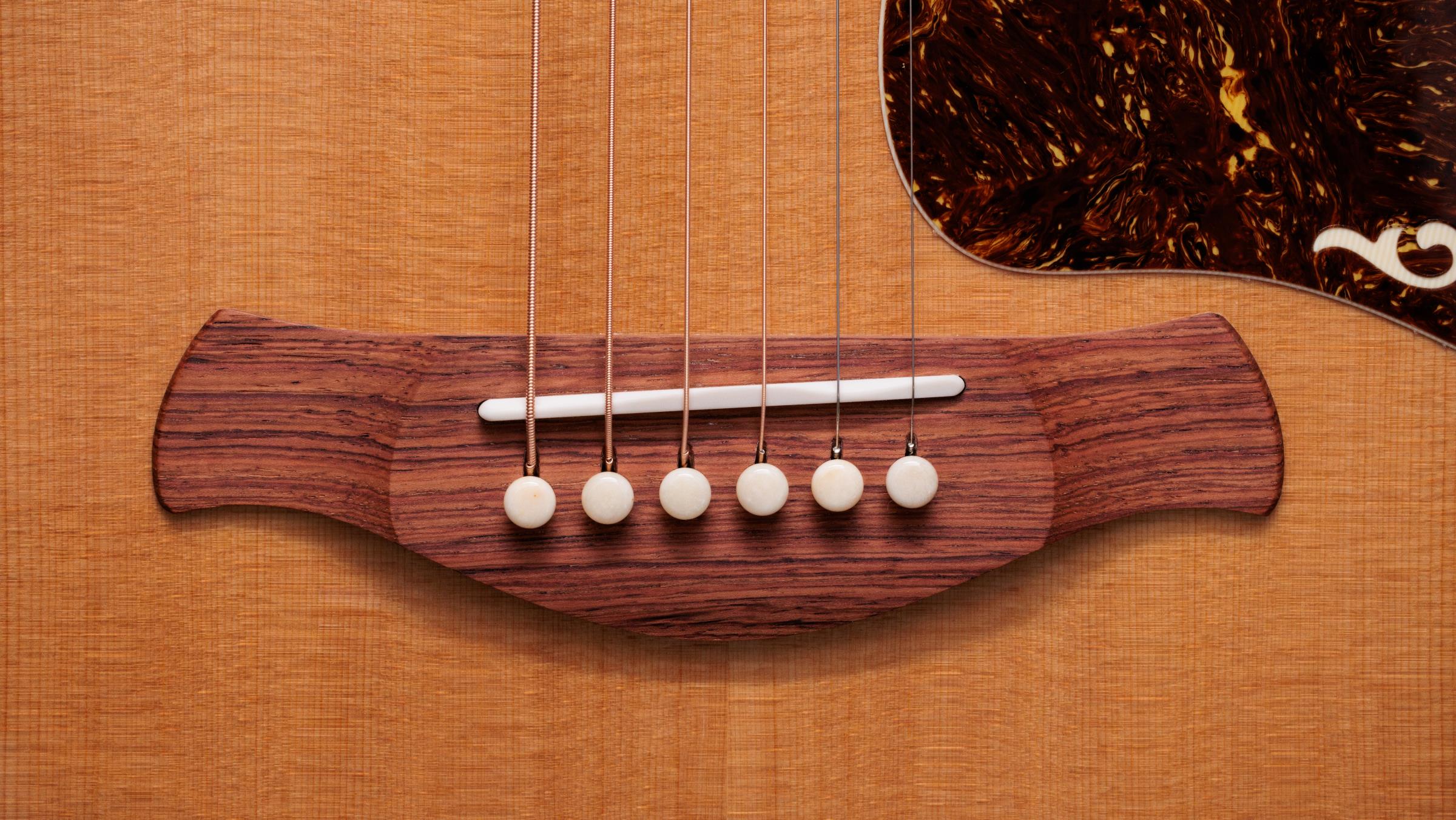 TAYLOR Gold Label 814e Koa TAYLOR Gold Label 814e Koa