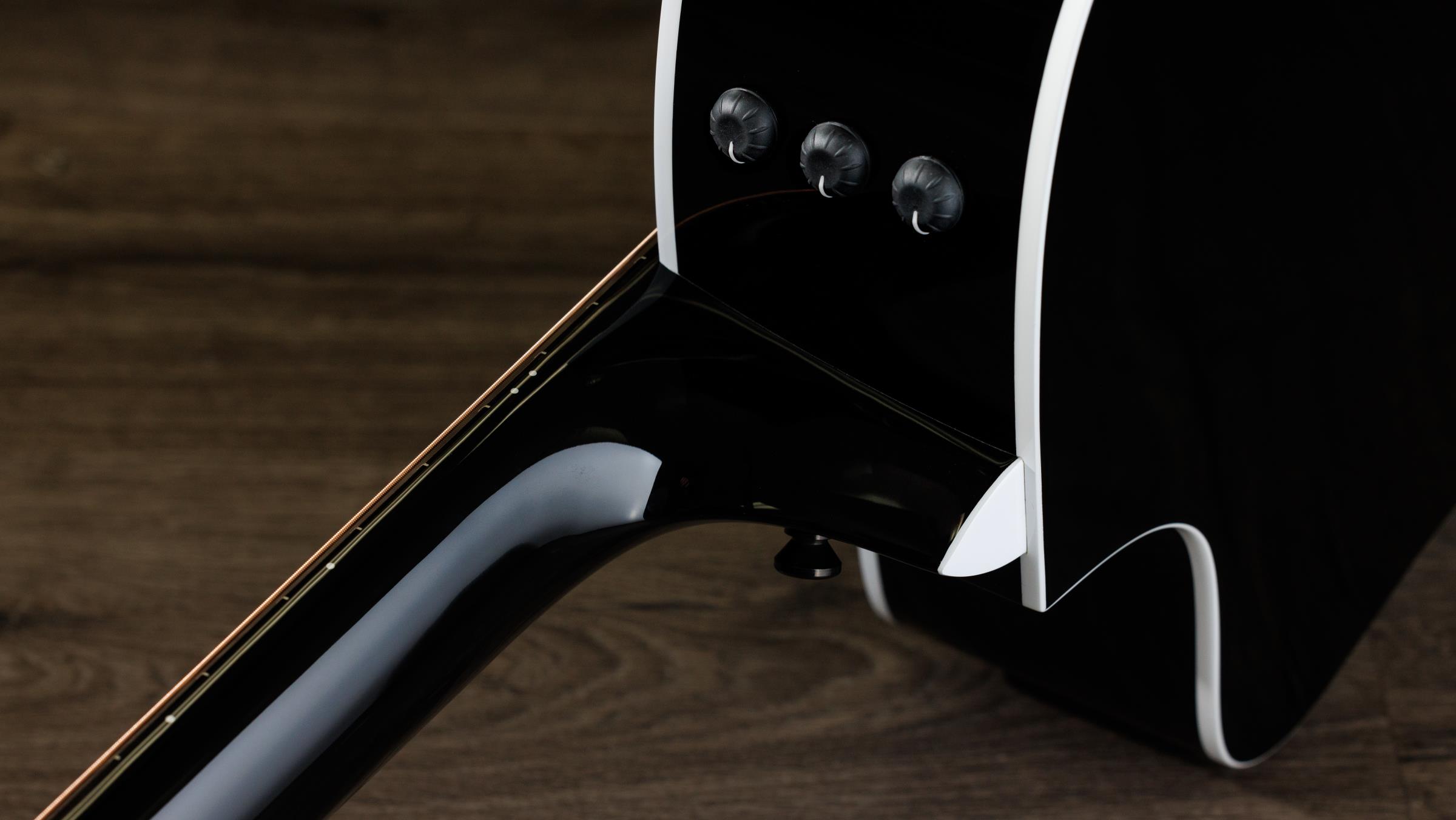 TAYLOR 214ce-BLK Plus TAYLOR 214ce-BLK Plus