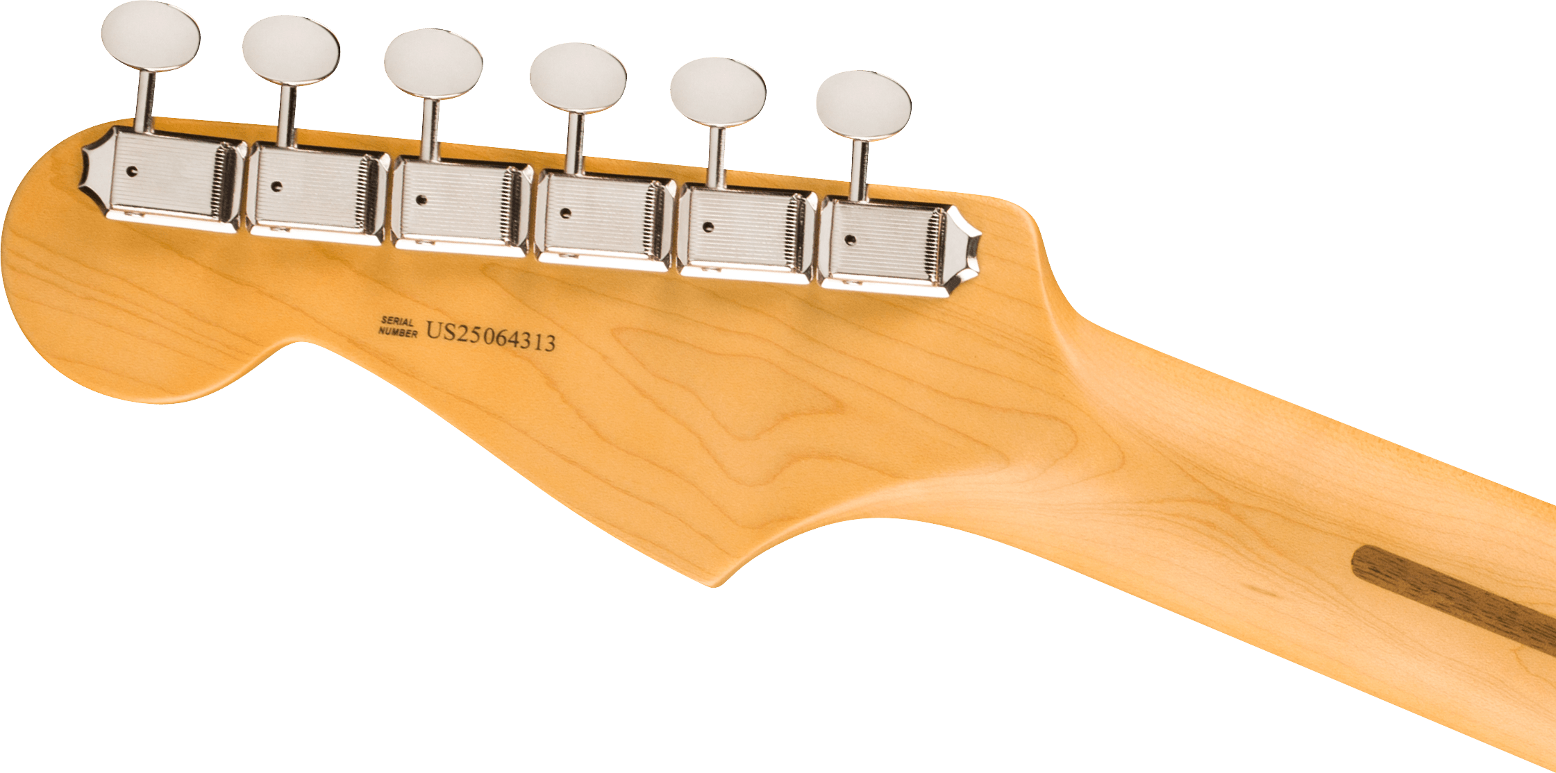 FENDER AM PRO CLSC STRT HSS RW FSGM FENDER AM PRO CLSC STRT HSS RW FSGM