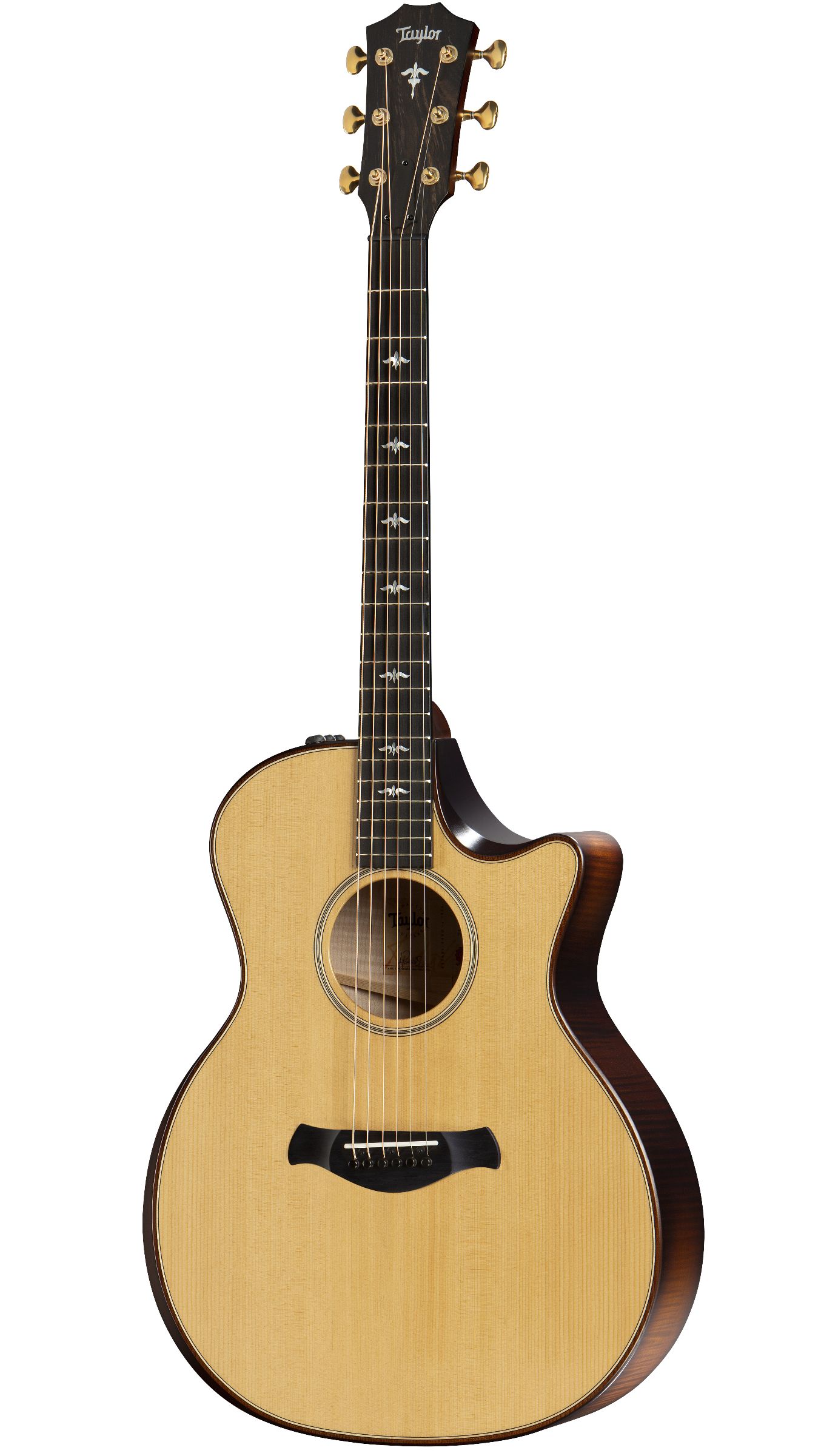 TAYLOR Builder's Edition 614ce,Nat Top