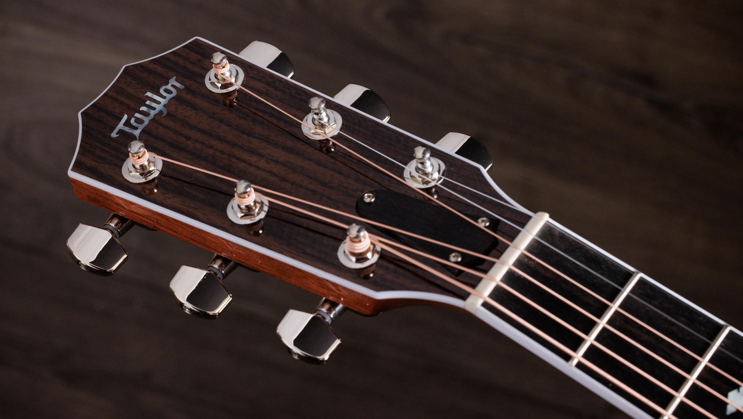 TAYLOR Legacy 815e