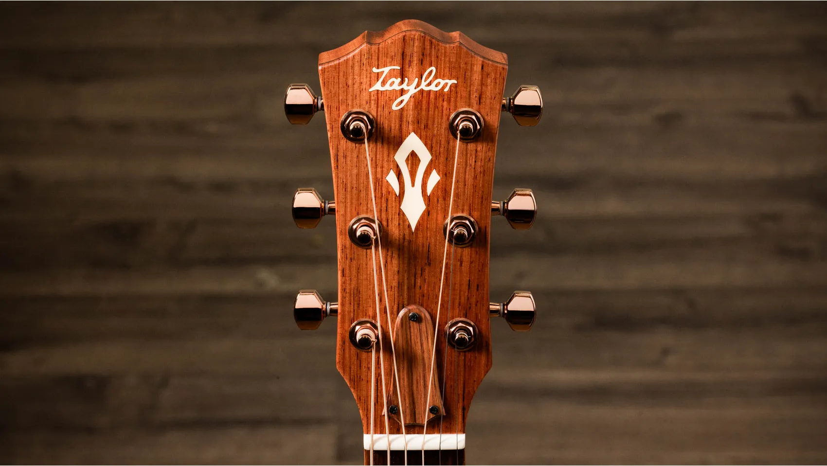 TAYLOR Ben Harper Gold Label 512e