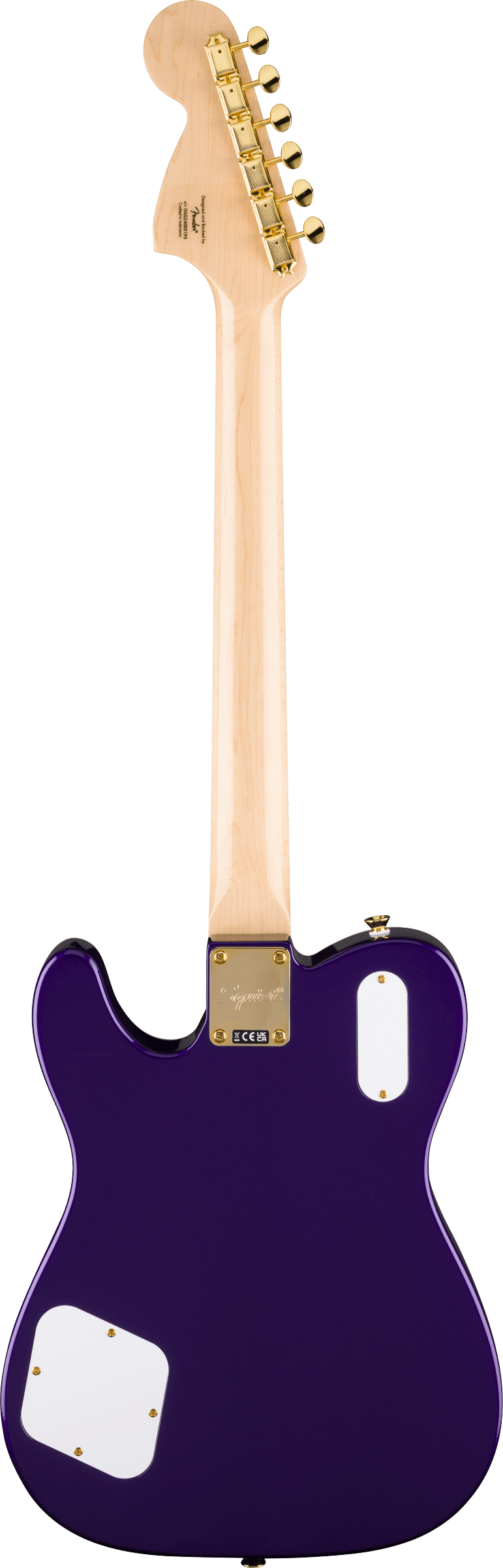 SQUIER FSR PARA TM TELE DLX TGP GHW MH PMT