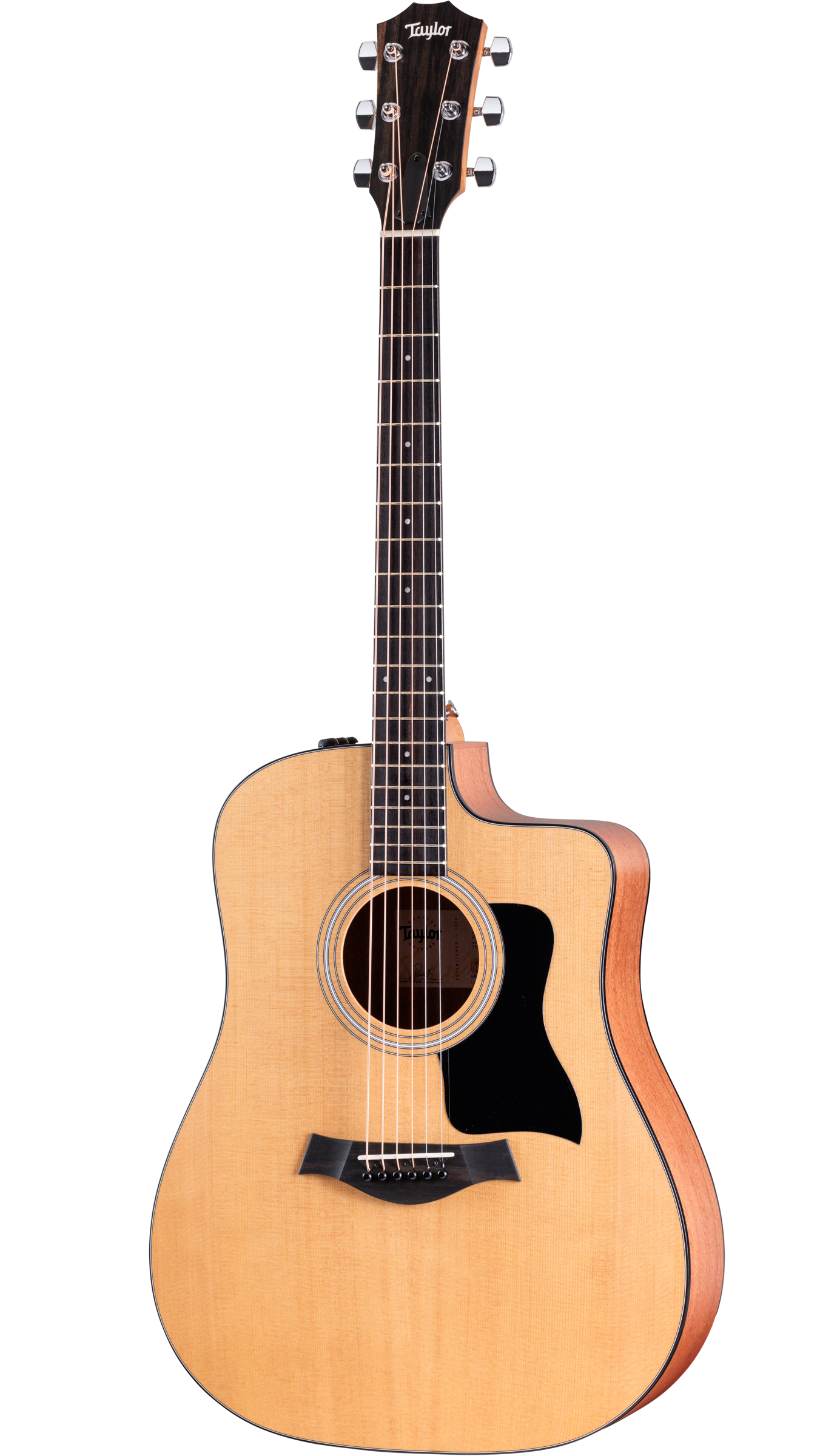 TAYLOR 110ce Sapele